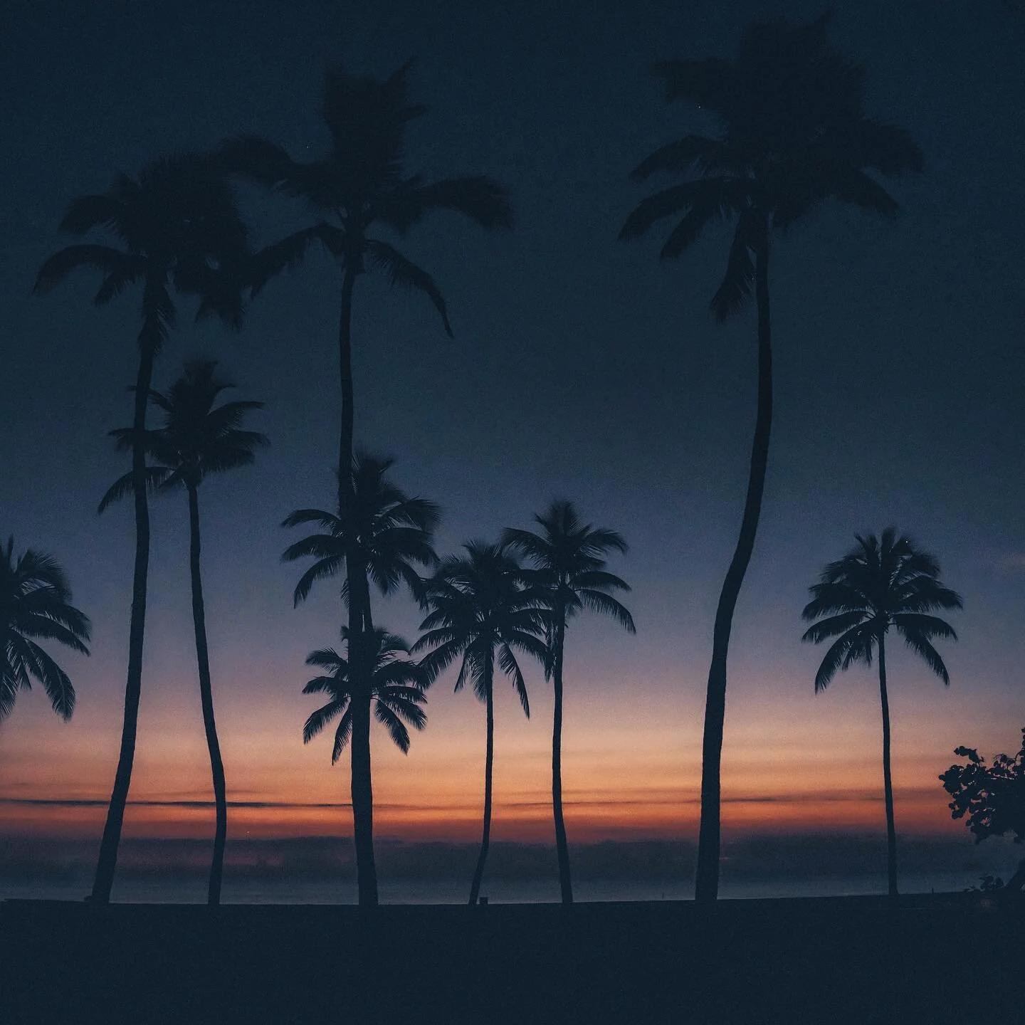 Is this real life?! South Florida is showing out today! 

-
-
-
#fortlauderdale #igers_ftl #ftl #florida #southflorida #ig_color #fortlauderdalebeach #floridalife #earthfocus #visitflorida #pureflorida #roamflorida #thevisualscollective #adventureher