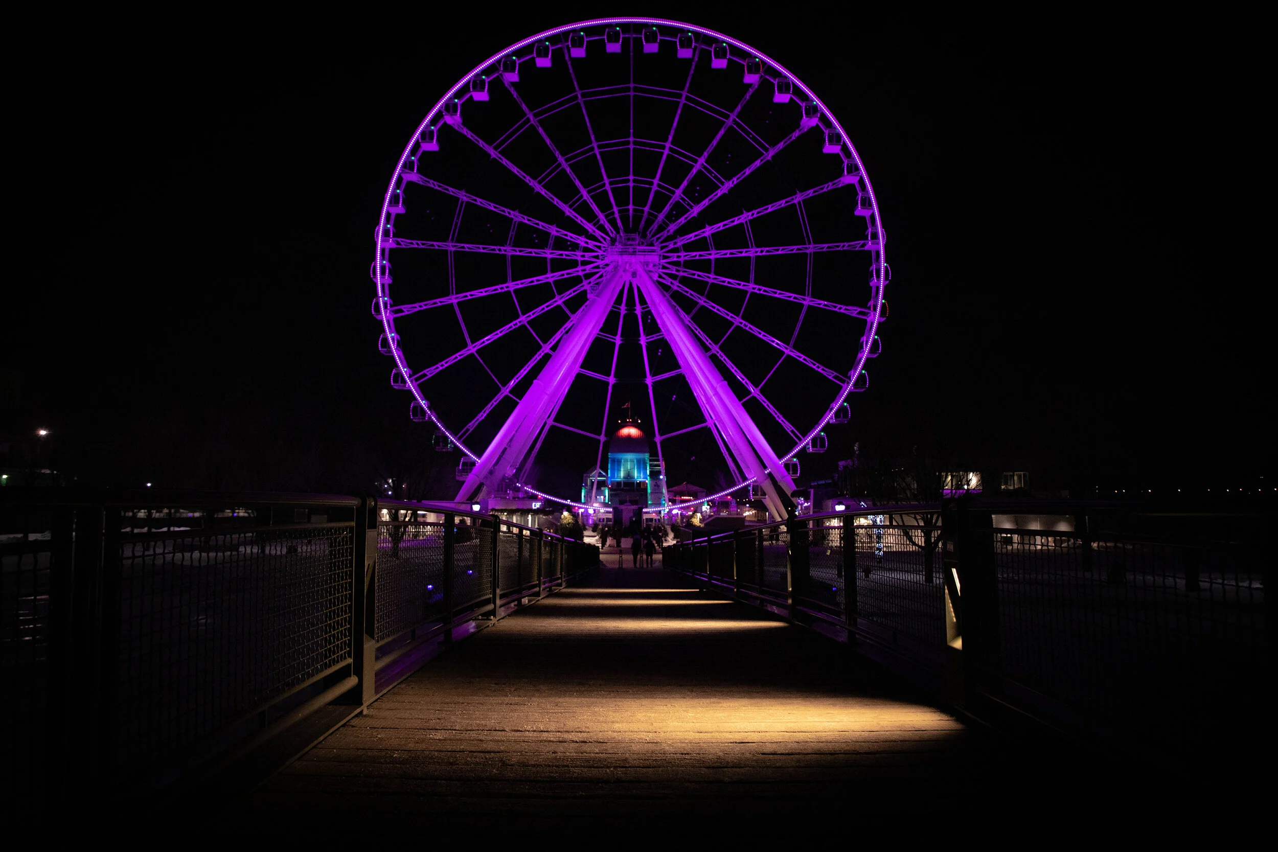 IMG_9783.jpg