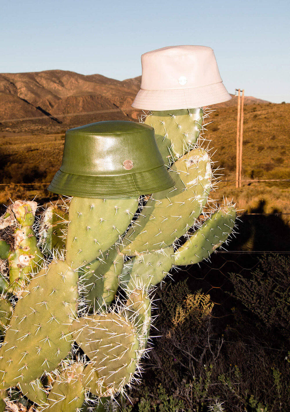 cactus-leather_campaign_buckets.jpg