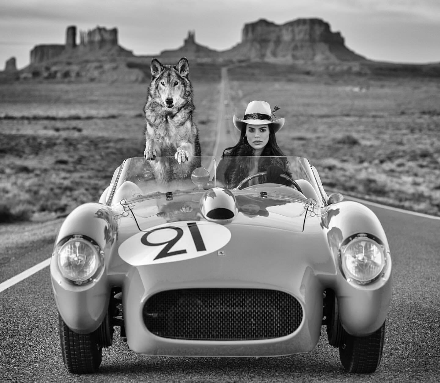 Time for a road trip. &mdash;&mdash;&mdash;&mdash;&mdash;&mdash;&mdash;&mdash;&mdash;&mdash;&mdash;&mdash;&mdash;&mdash;&mdash;&mdash;&mdash;&mdash;&mdash;&mdash;&mdash;&mdash;&mdash;&mdash; 😍🐾😍🐾😍🐾😍🐾😍🐾😍🐾😍🐾&mdash;&mdash;&mdash;&mdash;&md