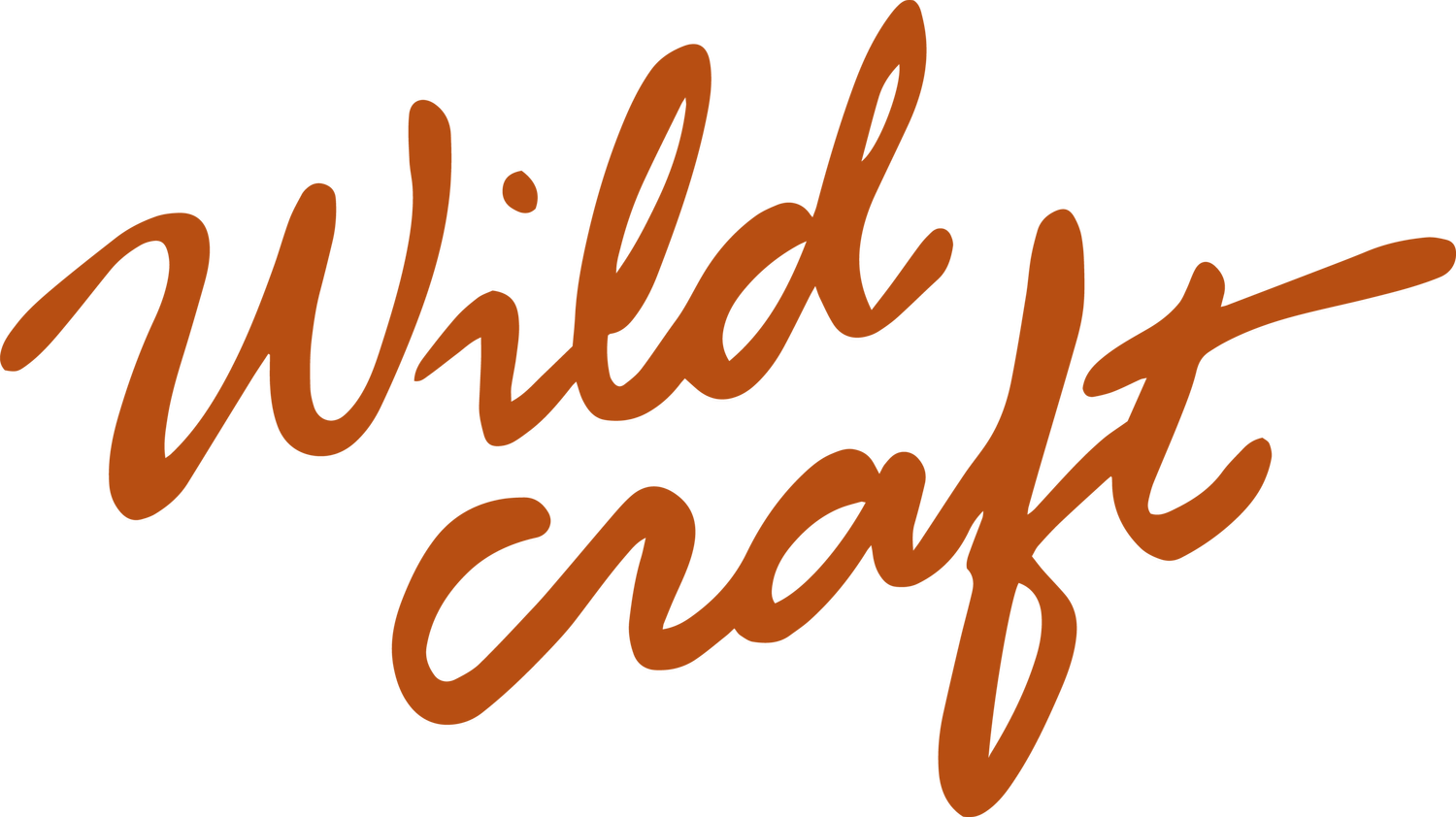 Wildcraft A selfcare boutique for skin + soul
