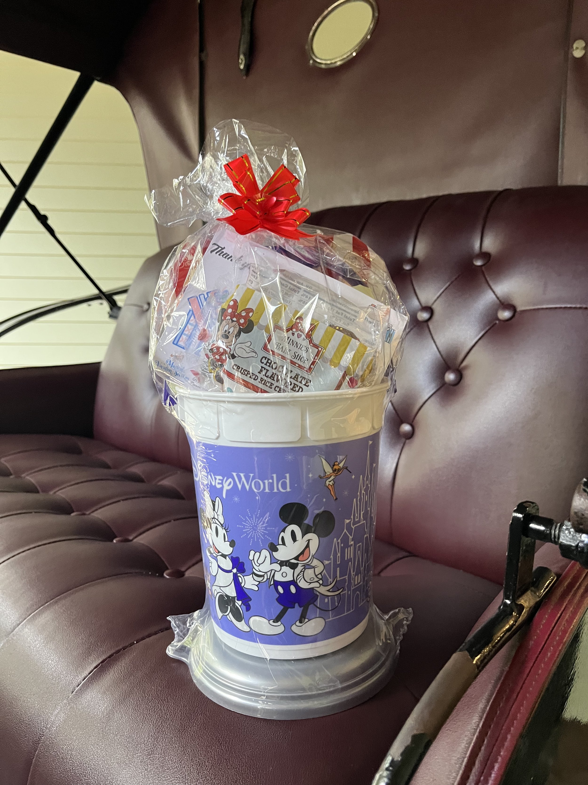 Walt Disney World Popcorn Bucket - Disney Snacks
