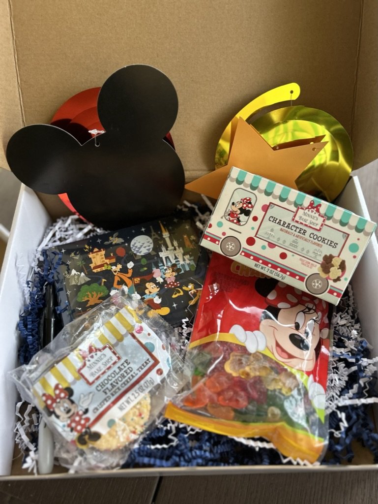 Disney Surprise Box - Let's Celebrate, We're going to Disney Box — Magical  Vacation Services, LLC