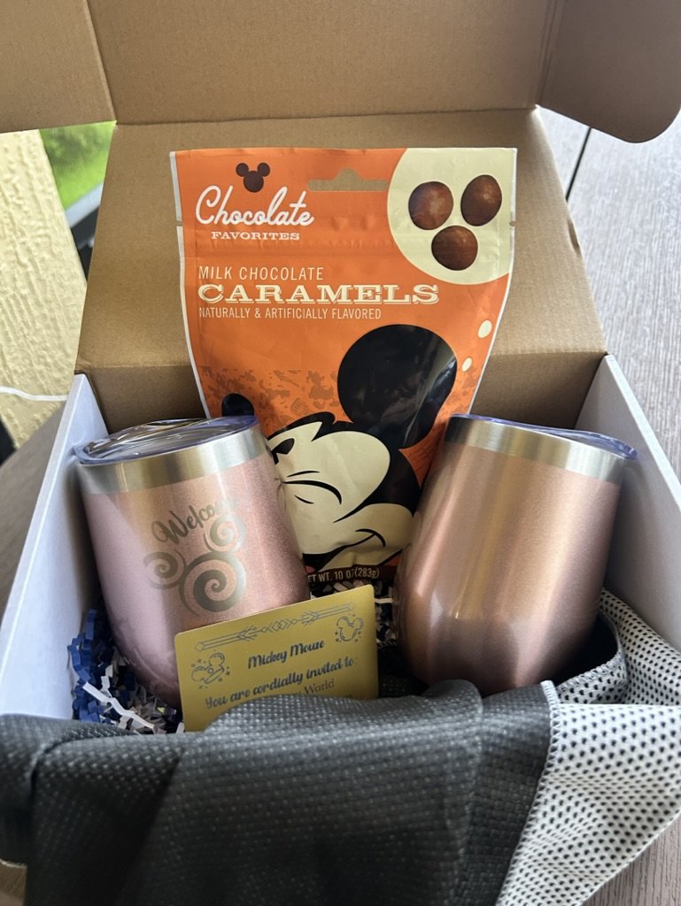 Disney Surprise Box - Adult Disney Surprise Box — Magical Vacation