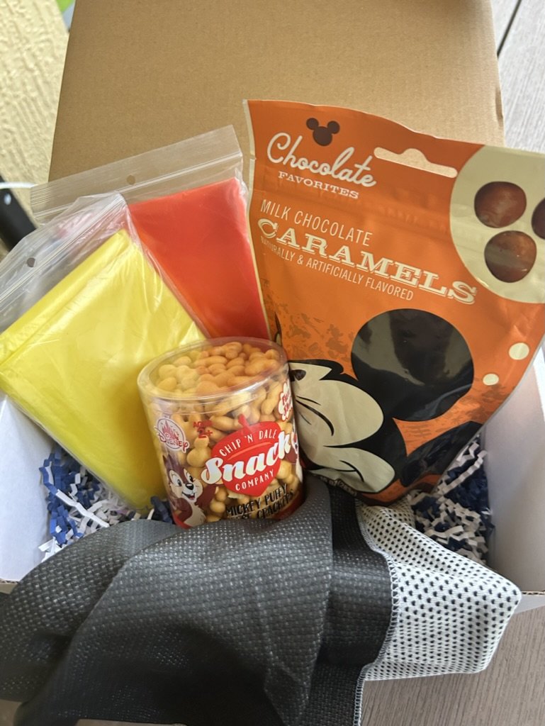 Disney Surprise Box - Adult Disney Survival Kit — Magical Vacation