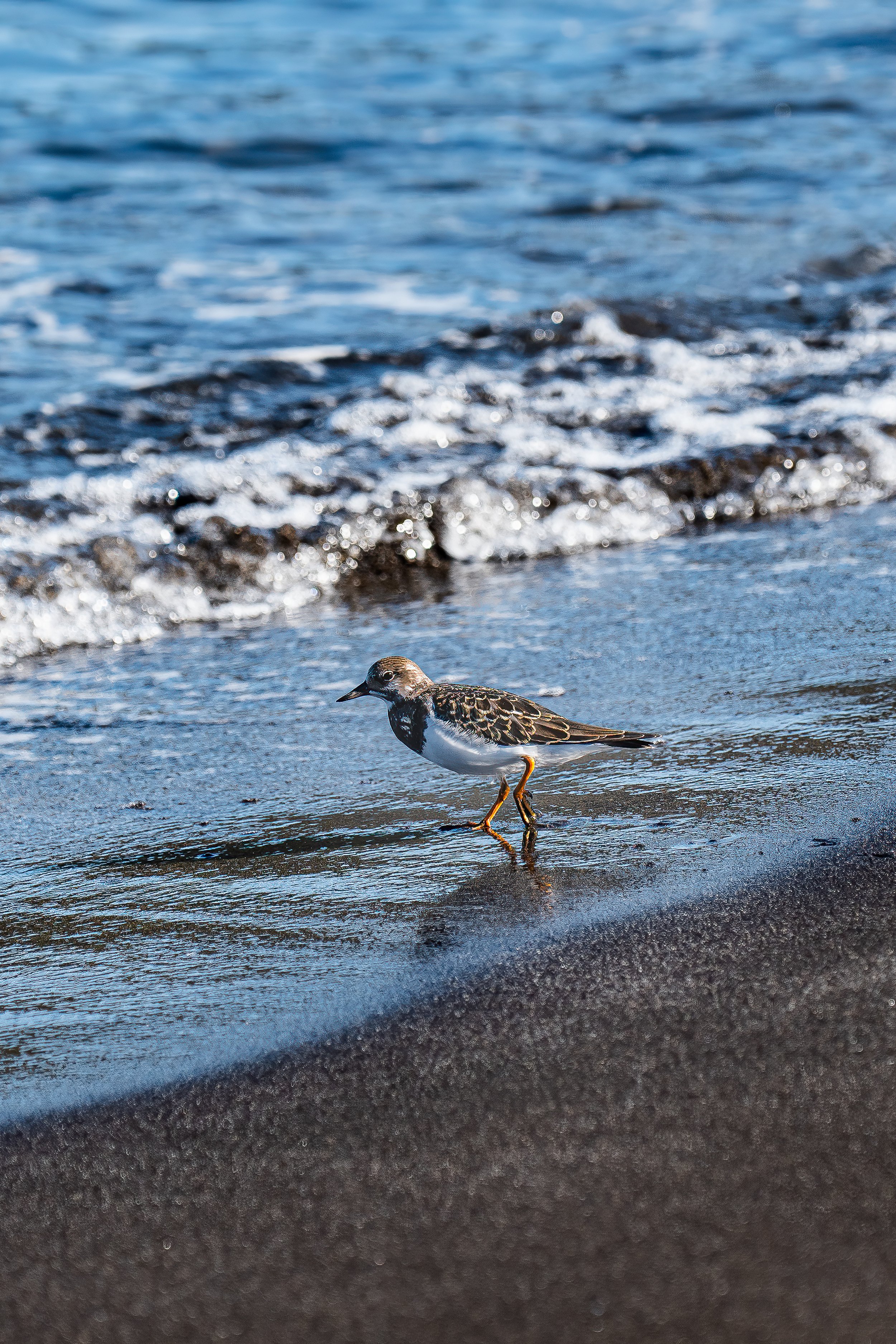 PNOR1303-Edit.jpg