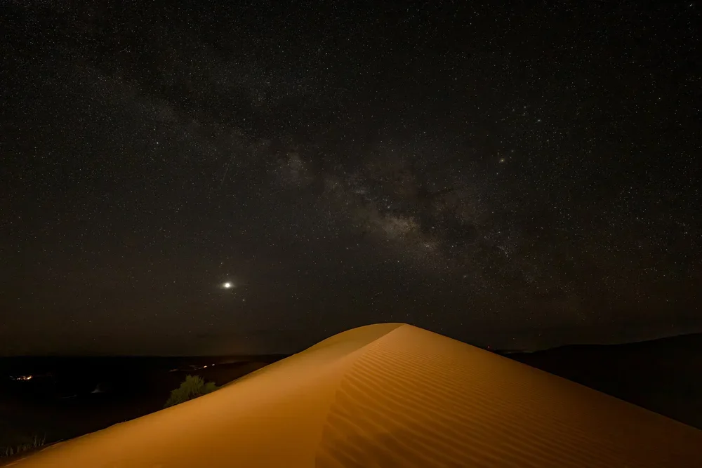 PNOR0641-Edit-Edit.webp