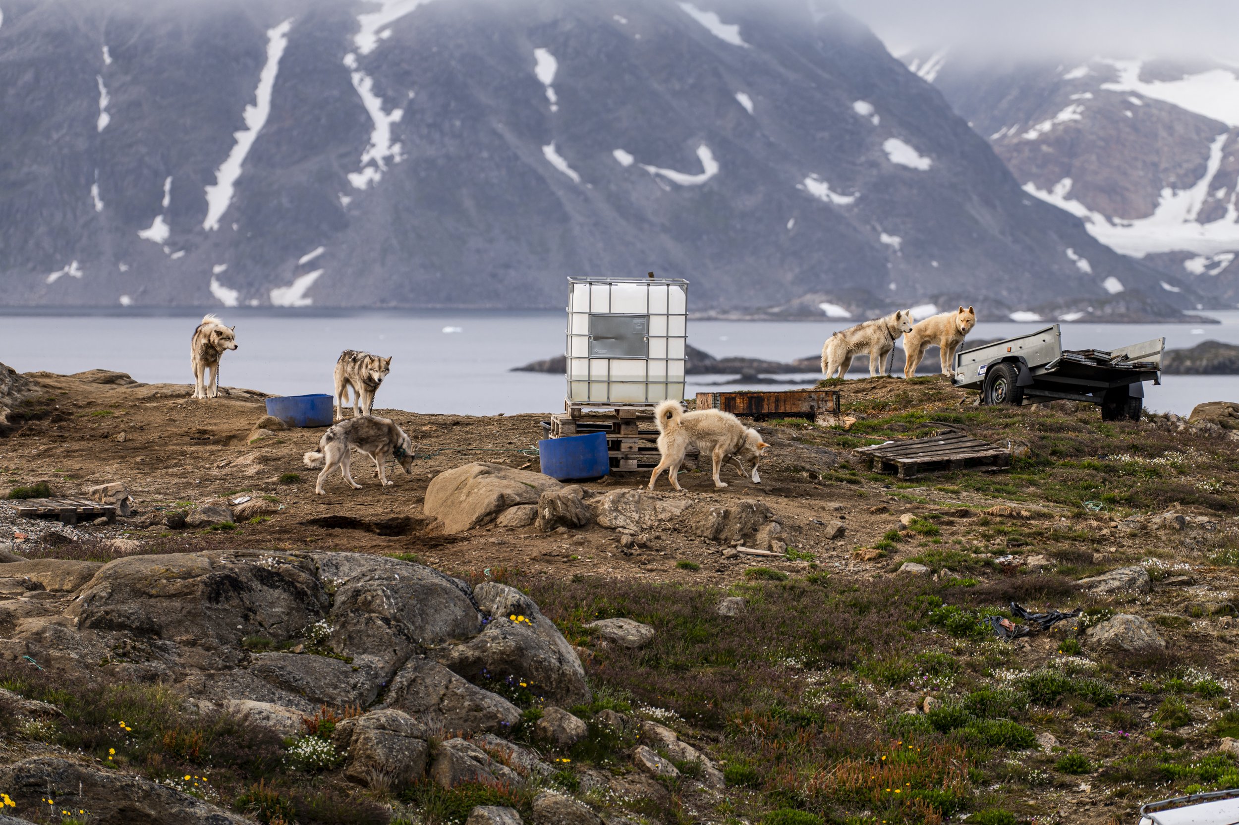 P1058343.jpg
