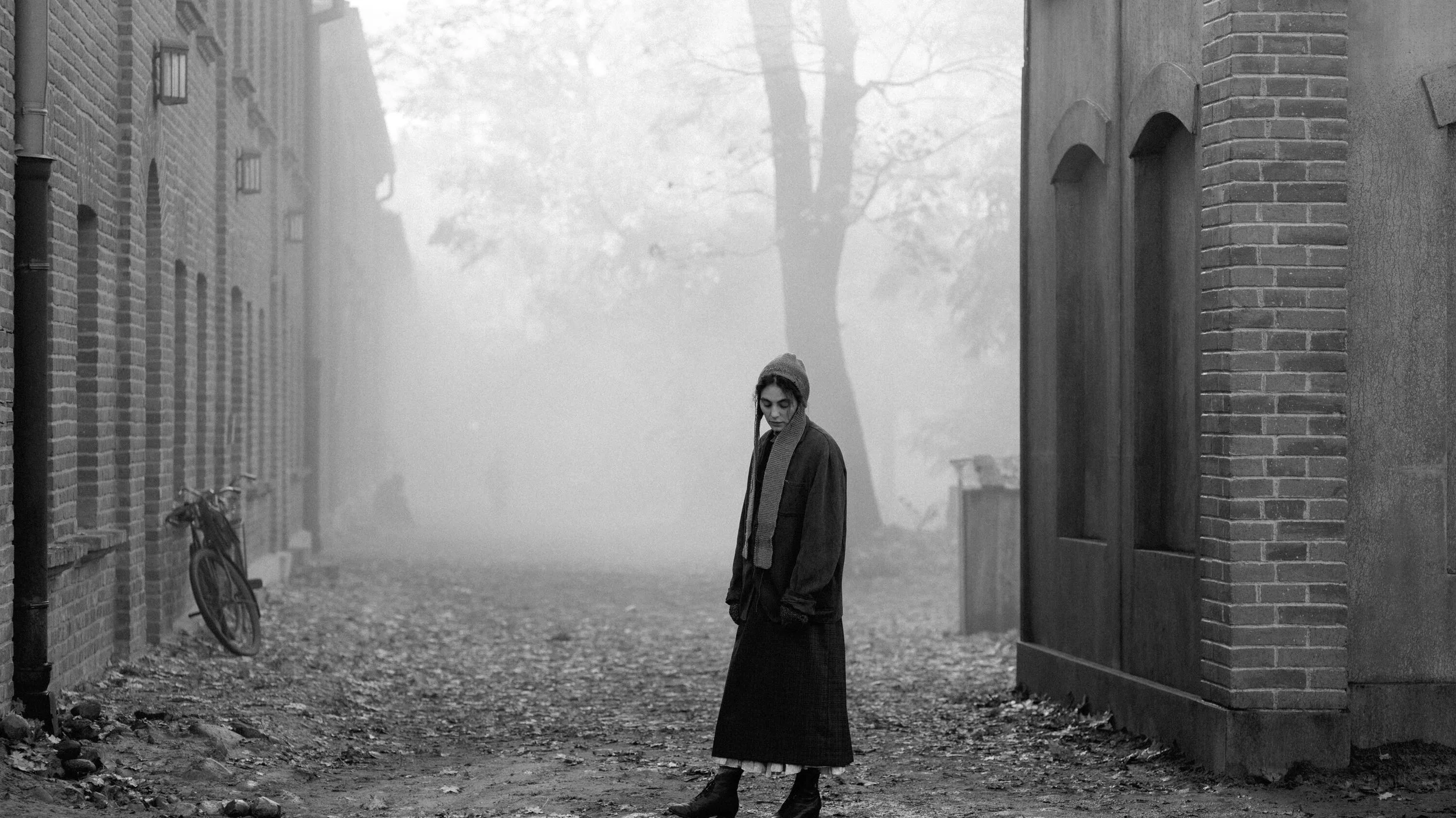 The Girl with the Needle (2024)