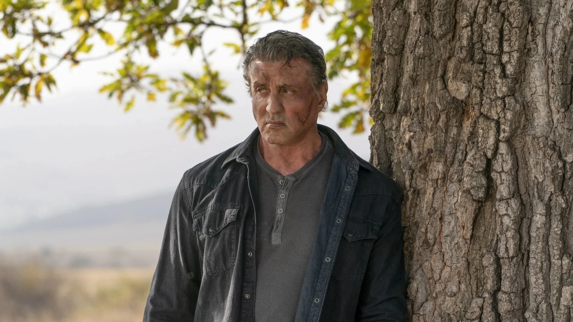 rambo+last+blood.jpg