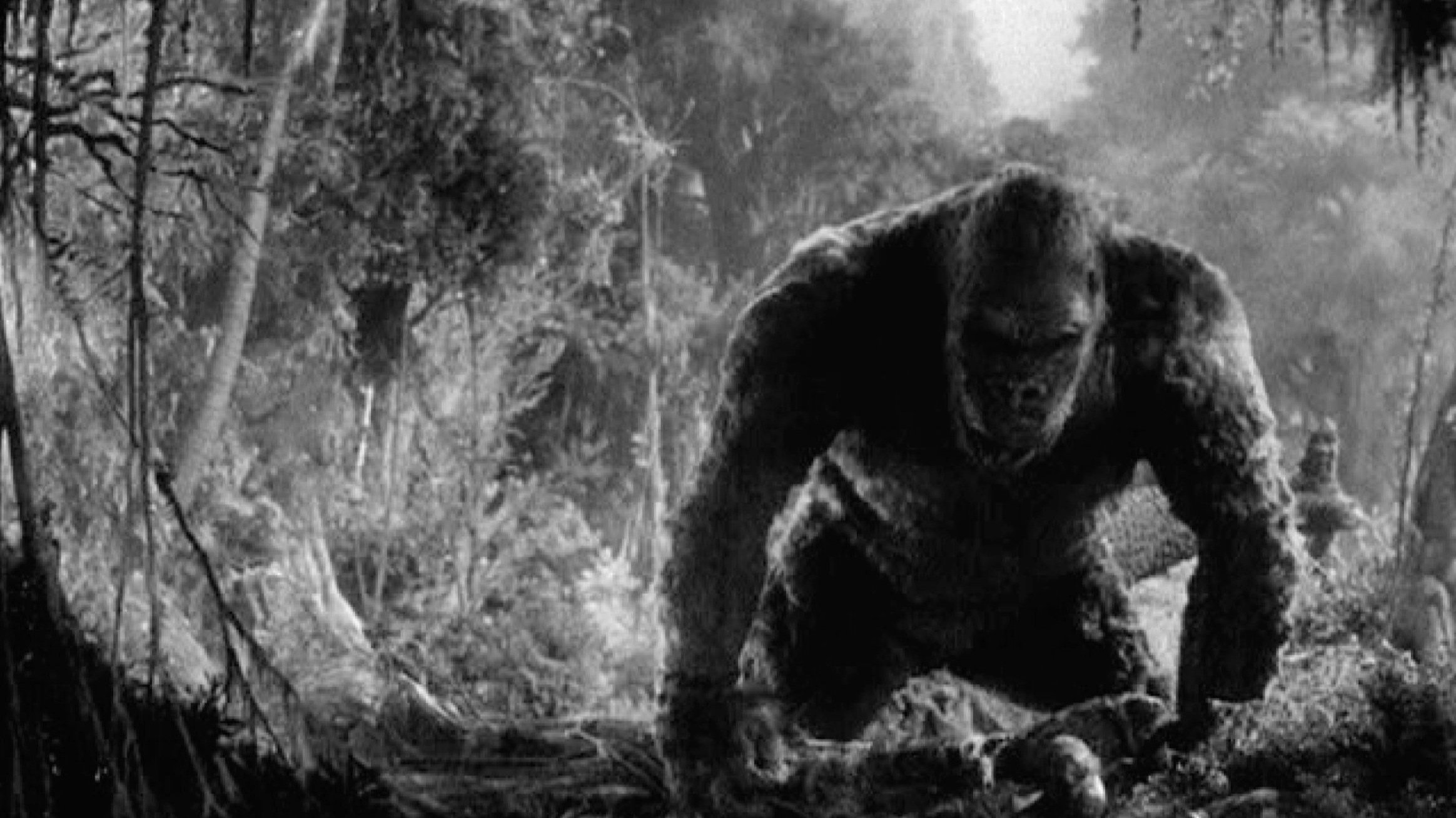 kong-1.jpg