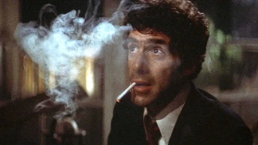 The Long Goodbye (1973)