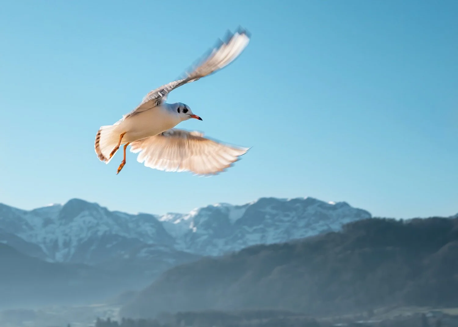 Dawn Klatzko: Brand-building coaching to realise your authentic potential