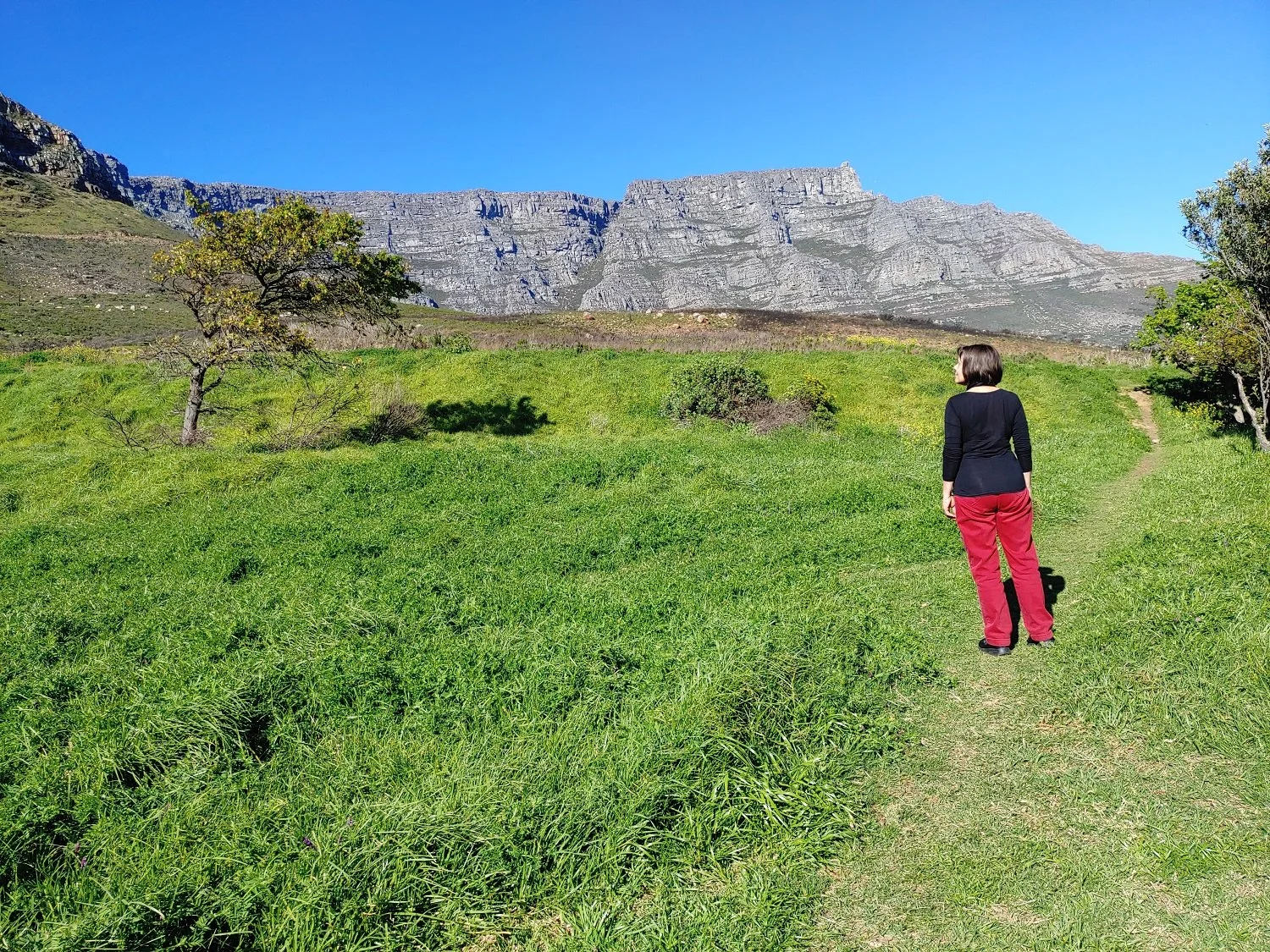 Mariette: my bumpy, exhilarating journey from magazine journalism to entrepreneurship and podcasting