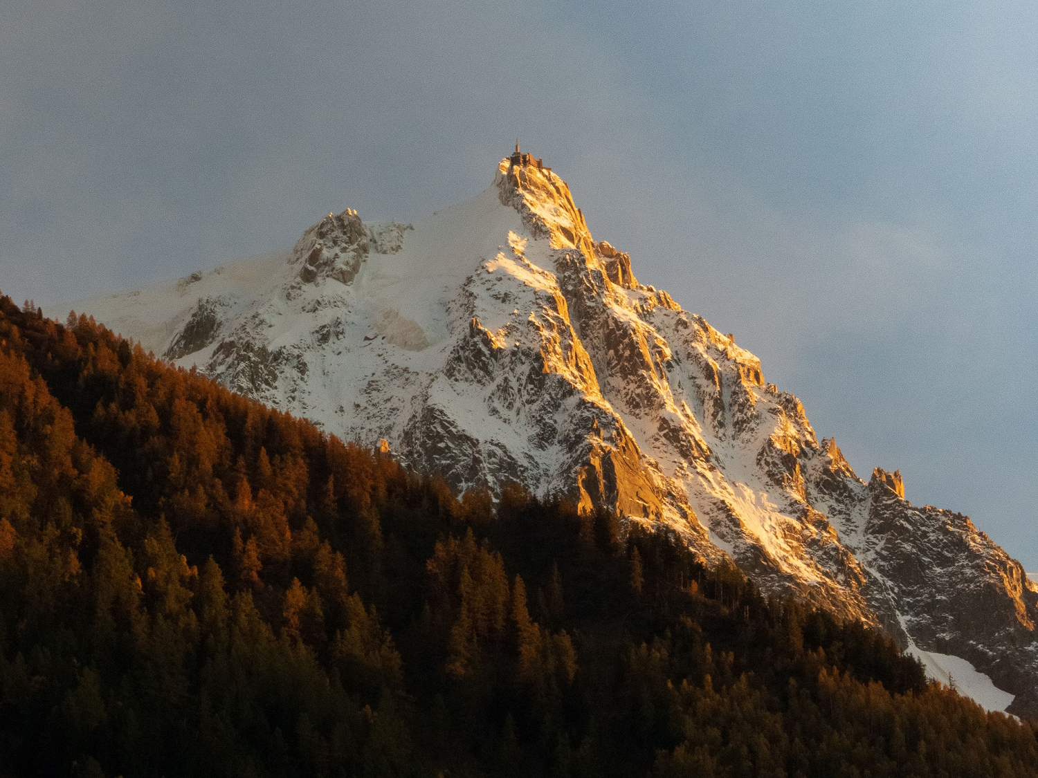 Monica Woolridge on hiking the Tour du Mont Blanc, functional fitness, and a dog who was a cat in a previous life