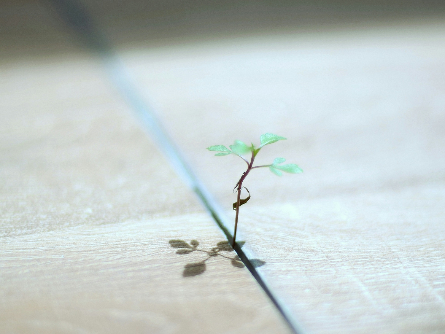 🎧Emosionele bewustheid: leer jouself ken en beklemtoon jou waarde