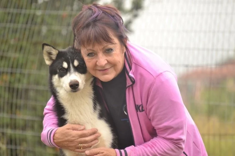 Telepathic animal communication: discover what your pet - or a wild