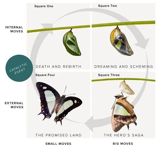 four-drawings-of-transformation-caterpillar-to-butterfly