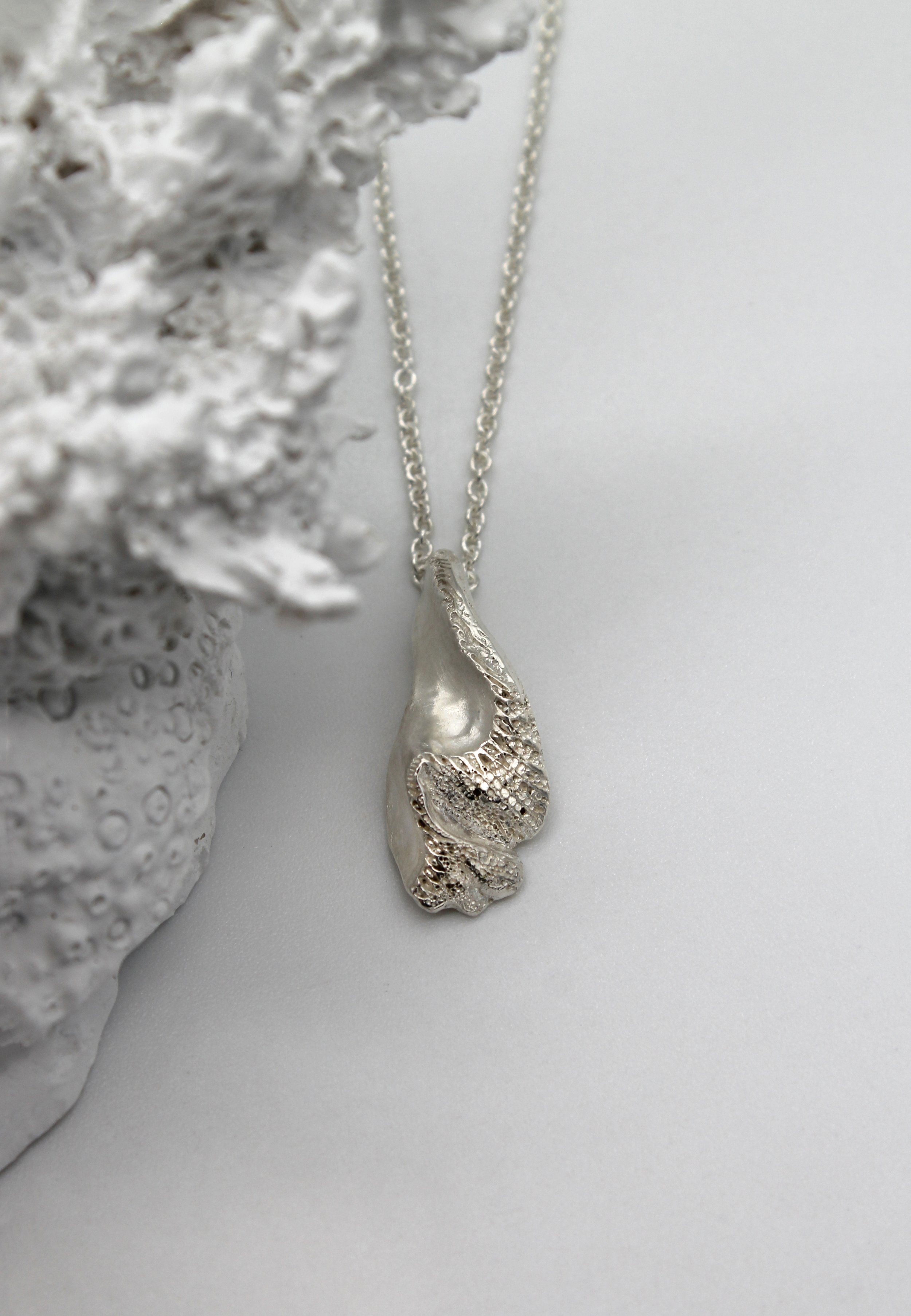 Muschelis.jpg