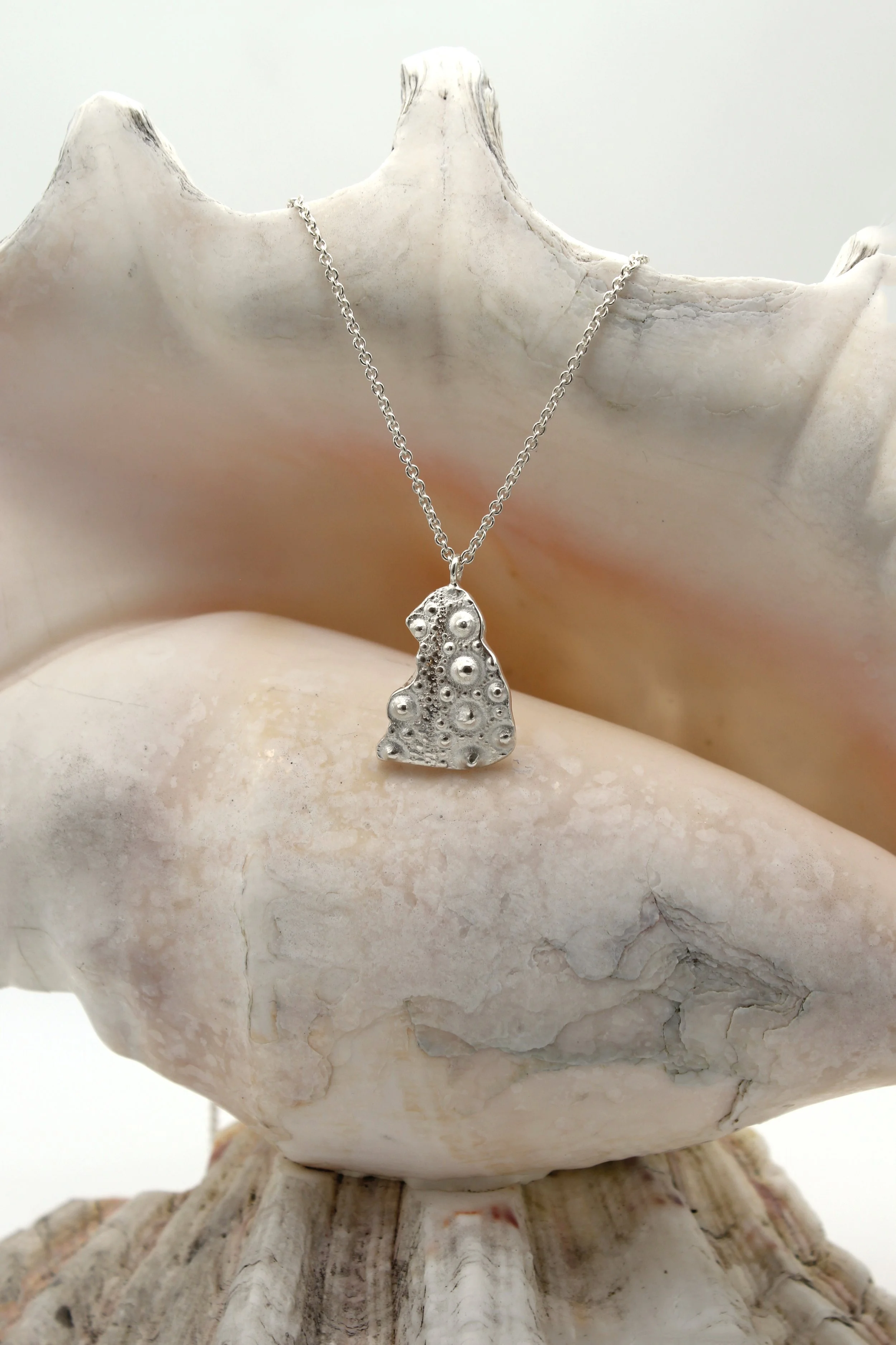 silberschmuck muschel.jpg