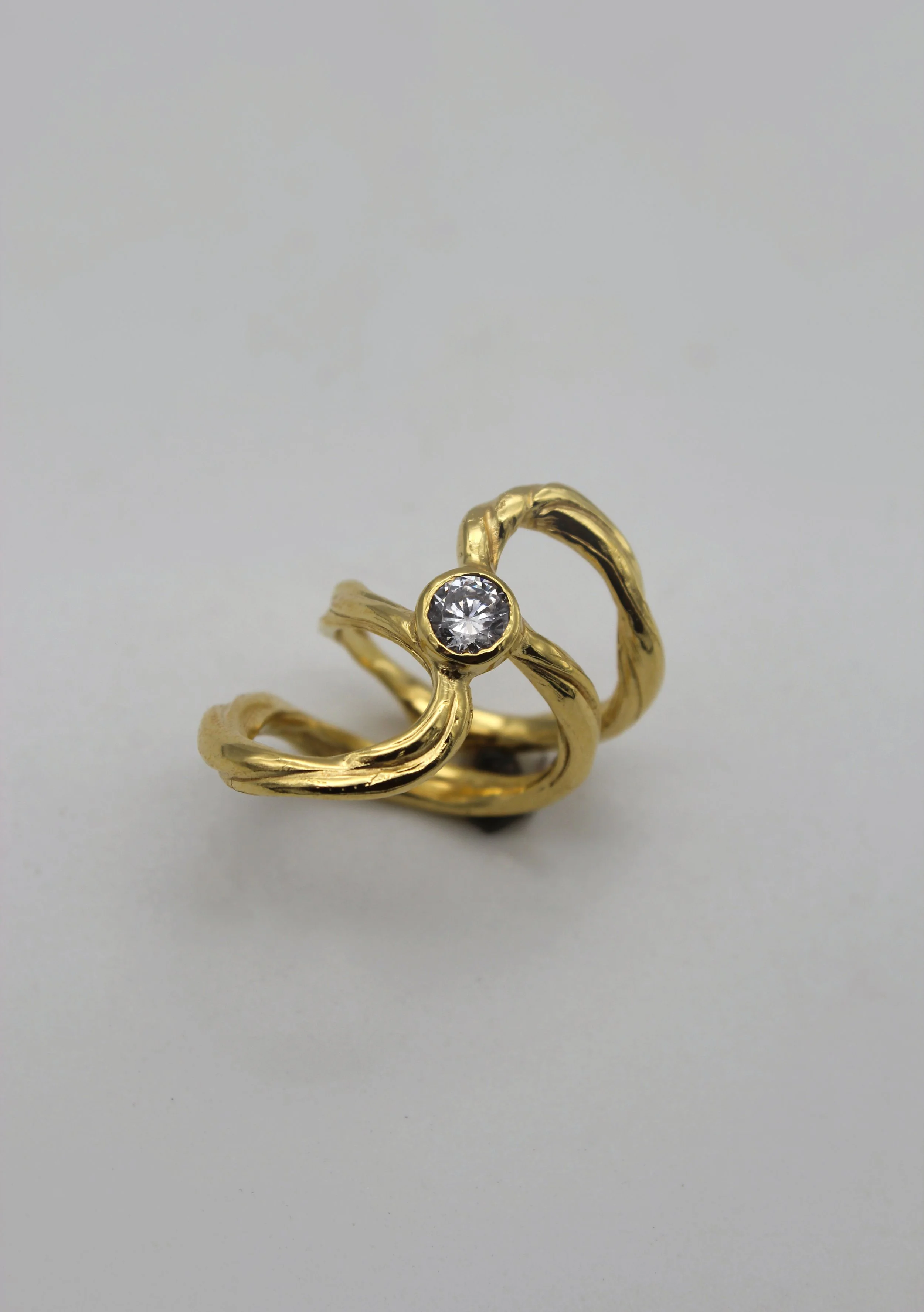 Ring mit Zirk.jpg