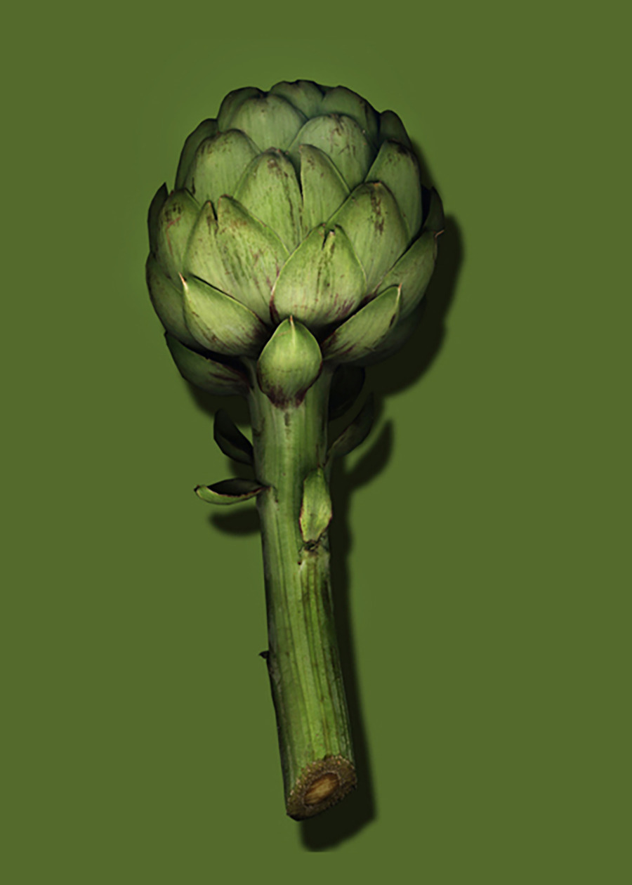 scanner_artichoke_full_x.png