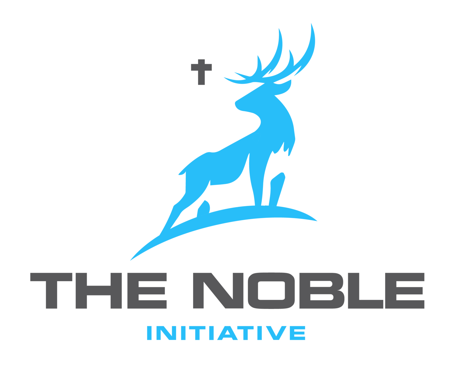 The Noble Initiative