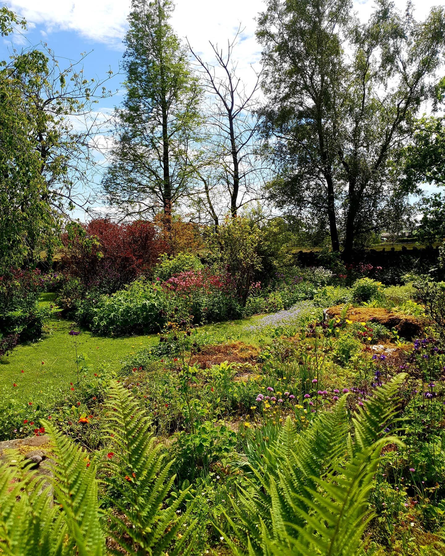 We design and maintain spaces of all shapes and sizes, and work closely with you to deliver - no matter how unique your project may be. 
.
.
#flowers  #englishgardens #plantsmakepeoplehappy #cottgaegardens #instaplant #countrygarden #garden #gardende