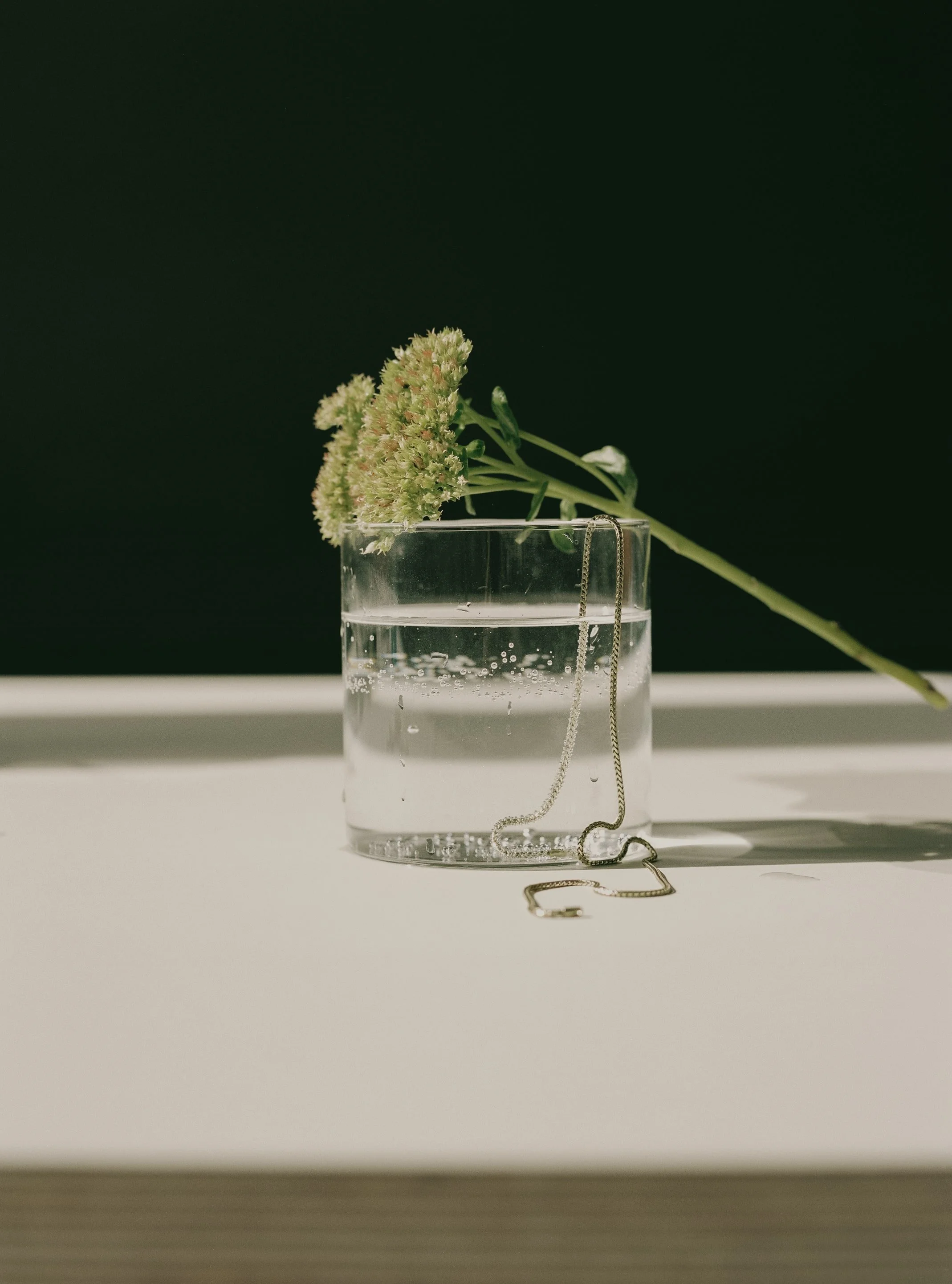 A clear glass of water with a green flower resting on top, a silver necklace draped over the glass, on a white surface against a dark background.
