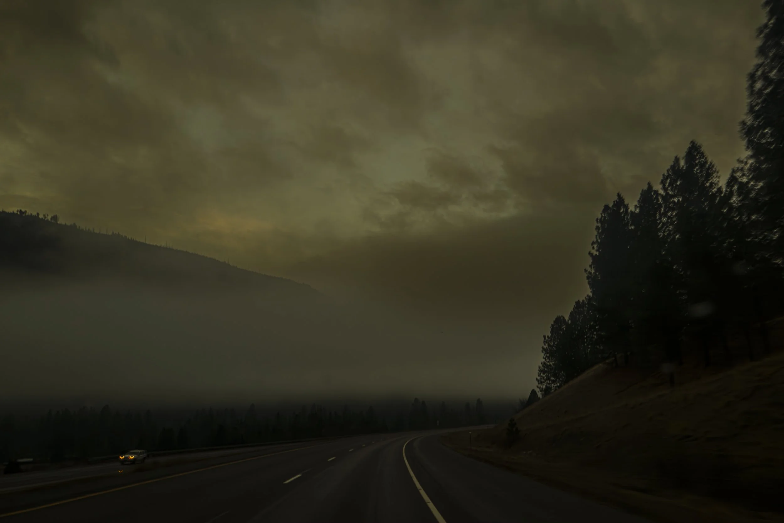 haseltine-1.jpg