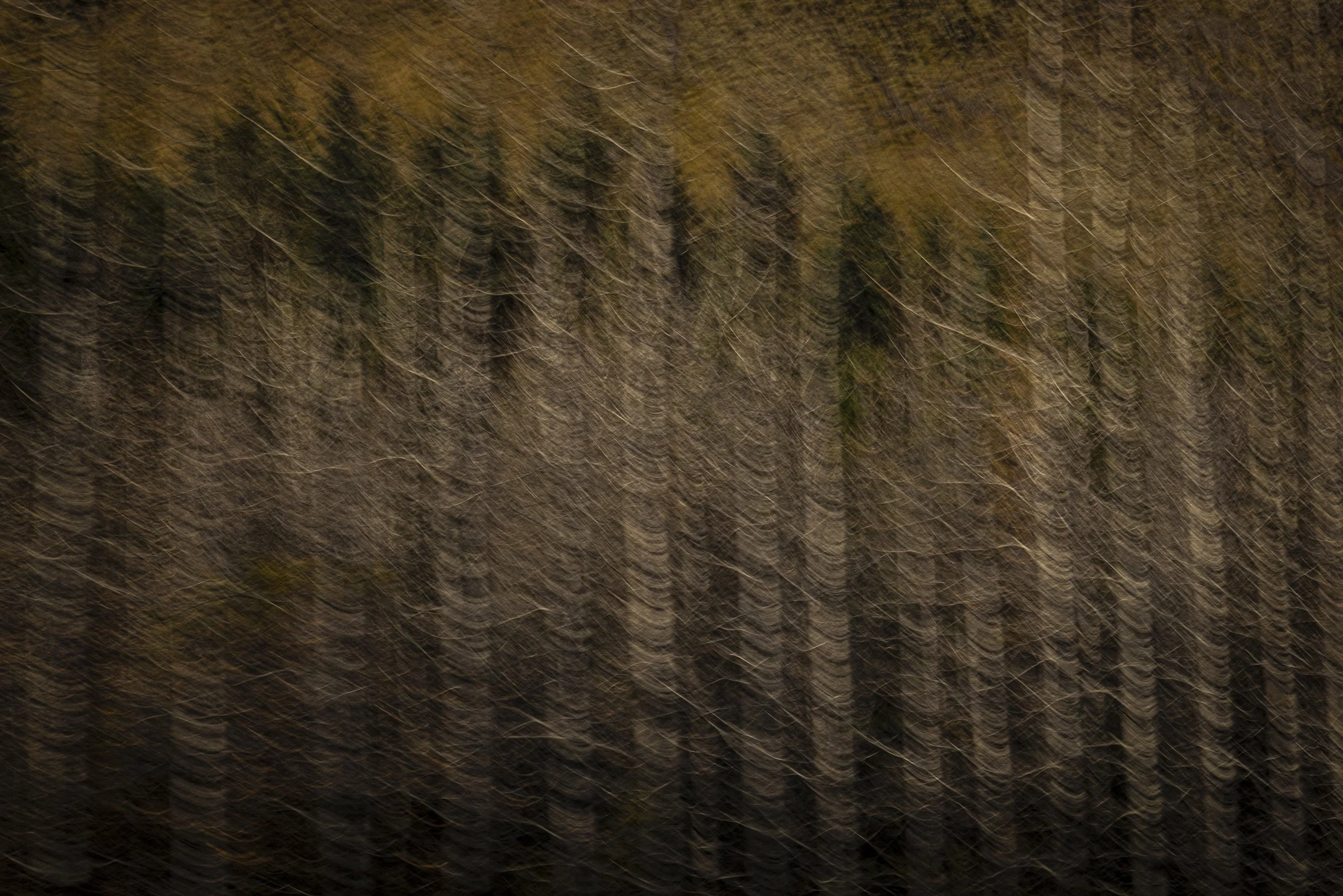 haseltine-13.jpg