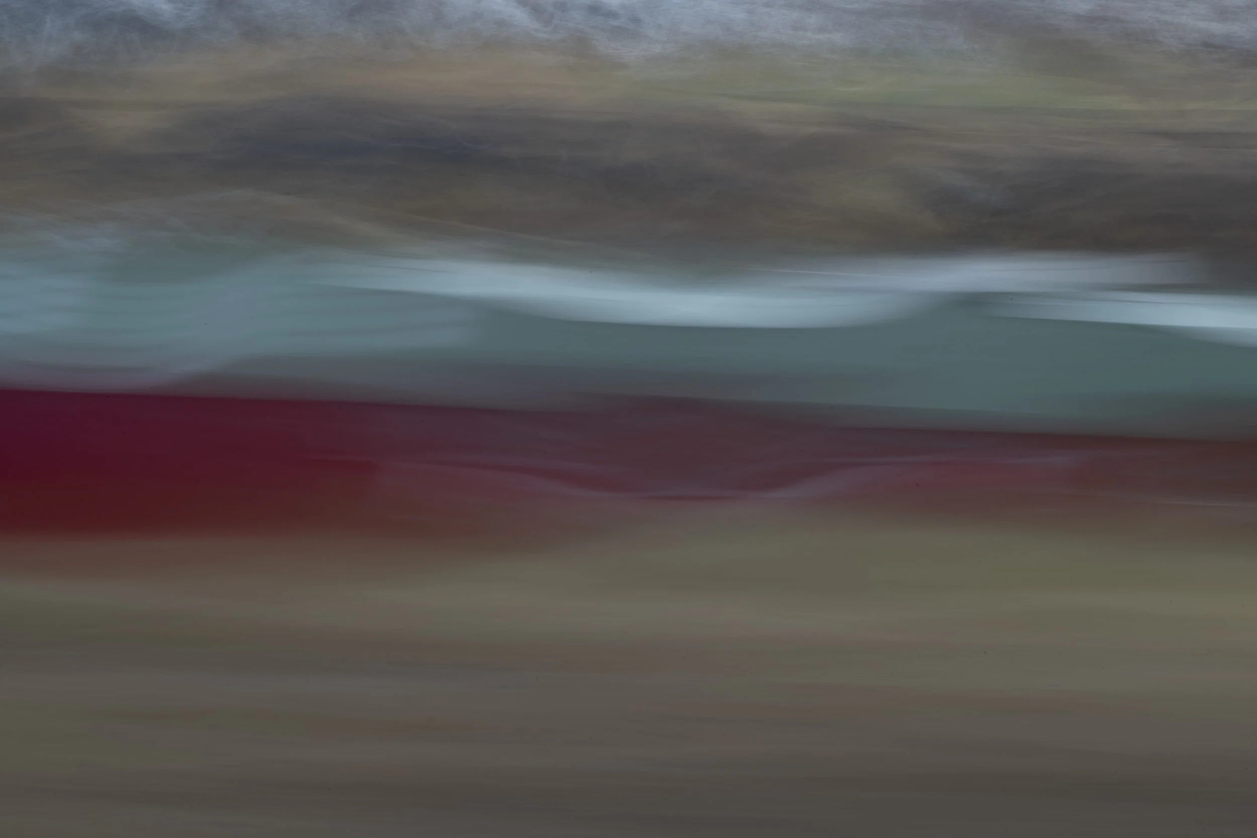 haseltine-19.jpg