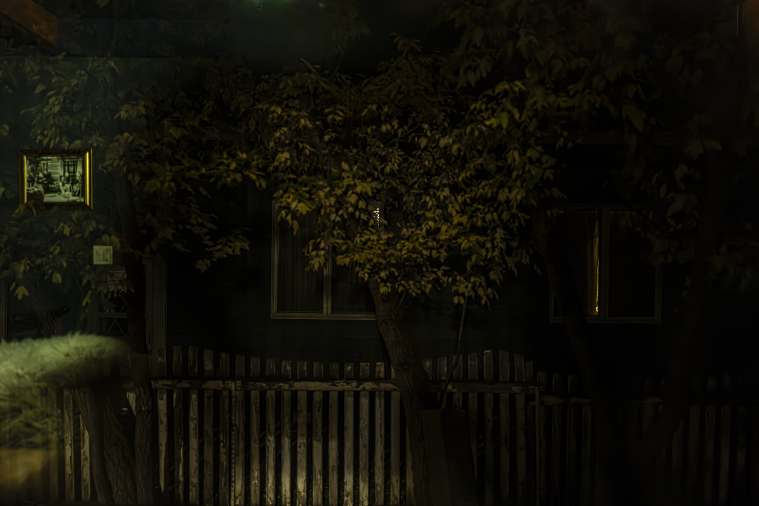 haseltine-24.jpg