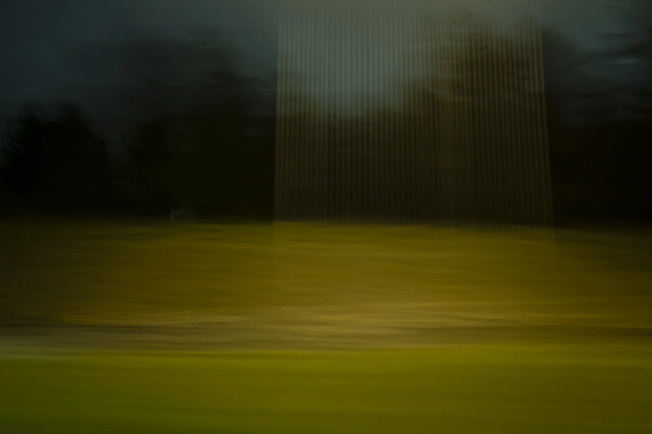 haseltine-28.jpg