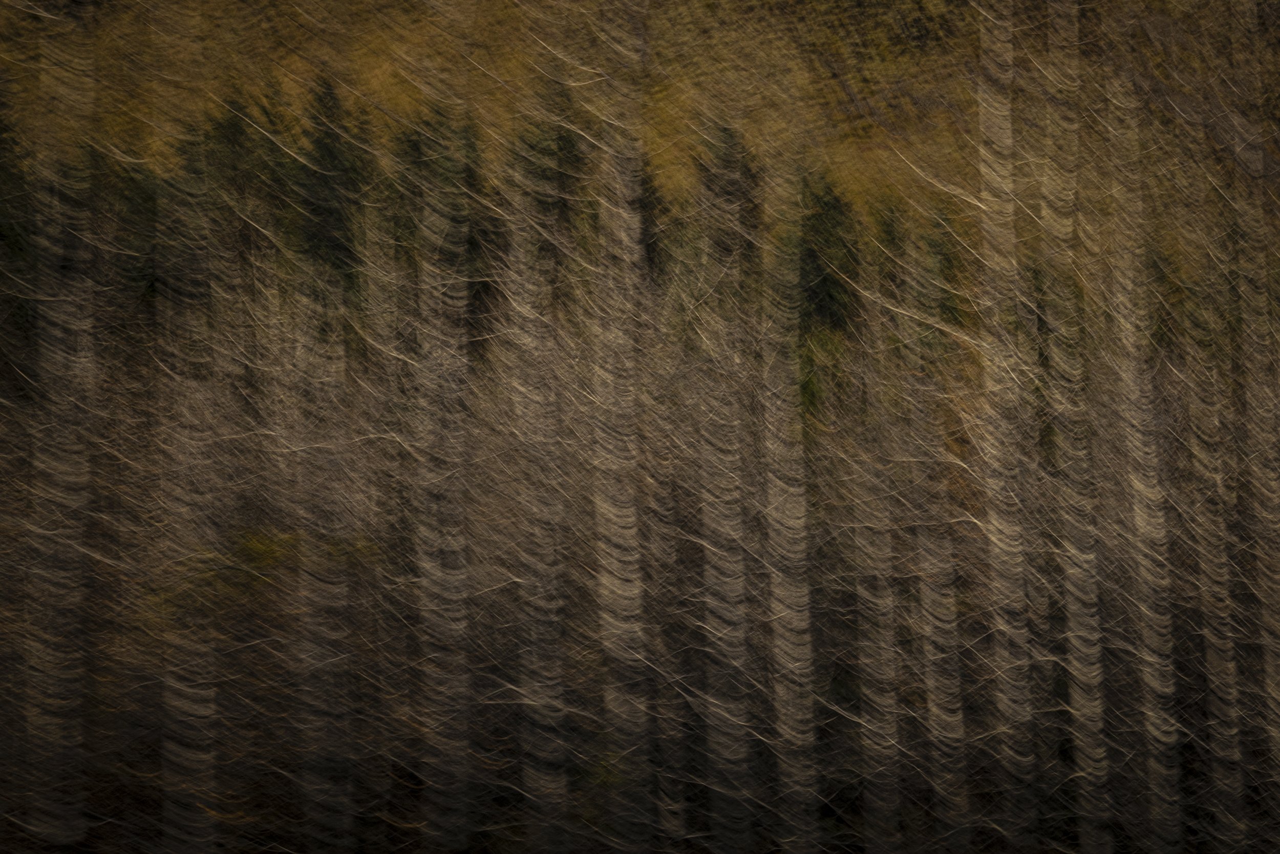 Haseltine-Heartbreak-14.jpg