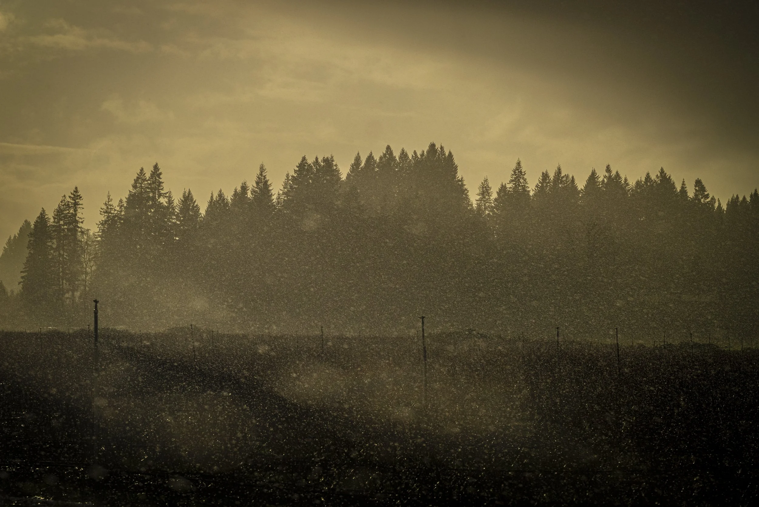 Haseltine-Heartbreak-15.jpg