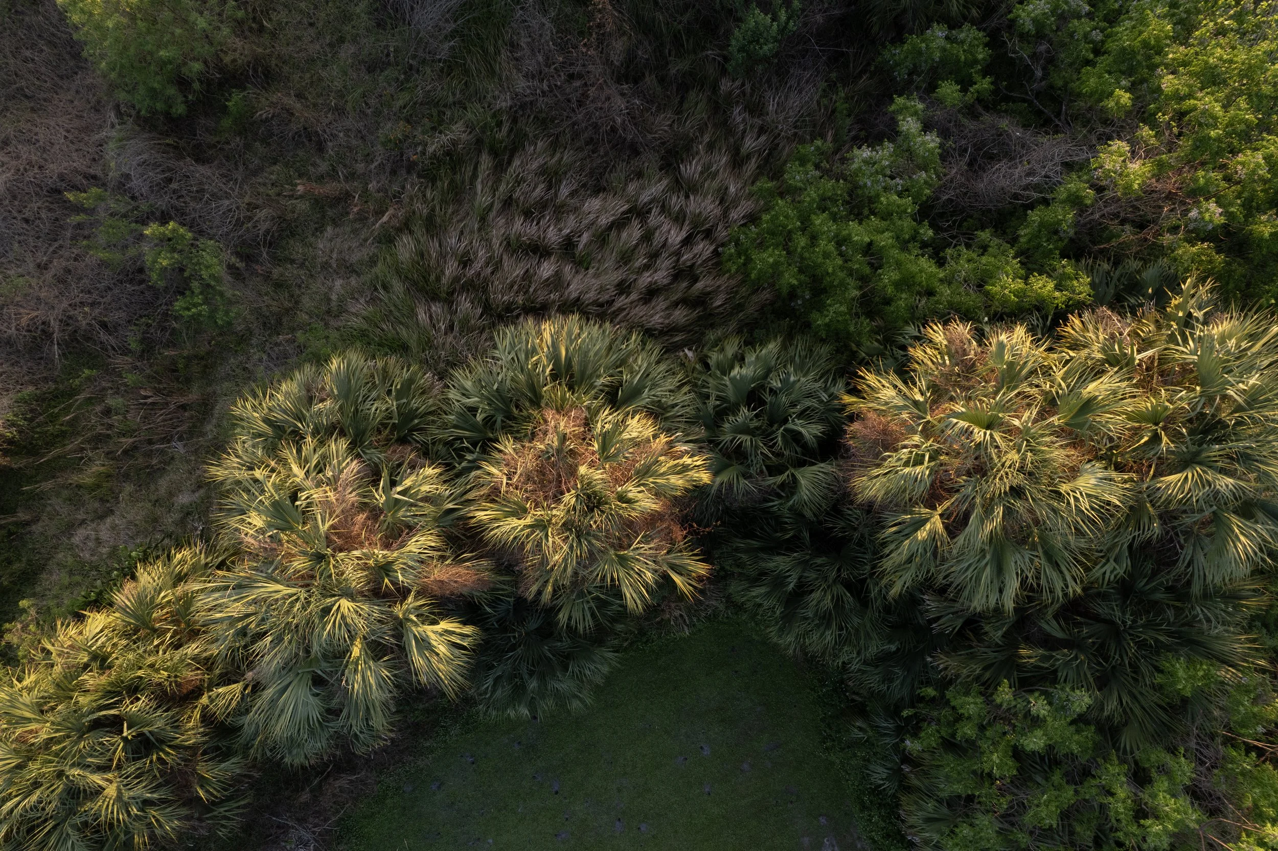 DJI_0715 copy.jpg