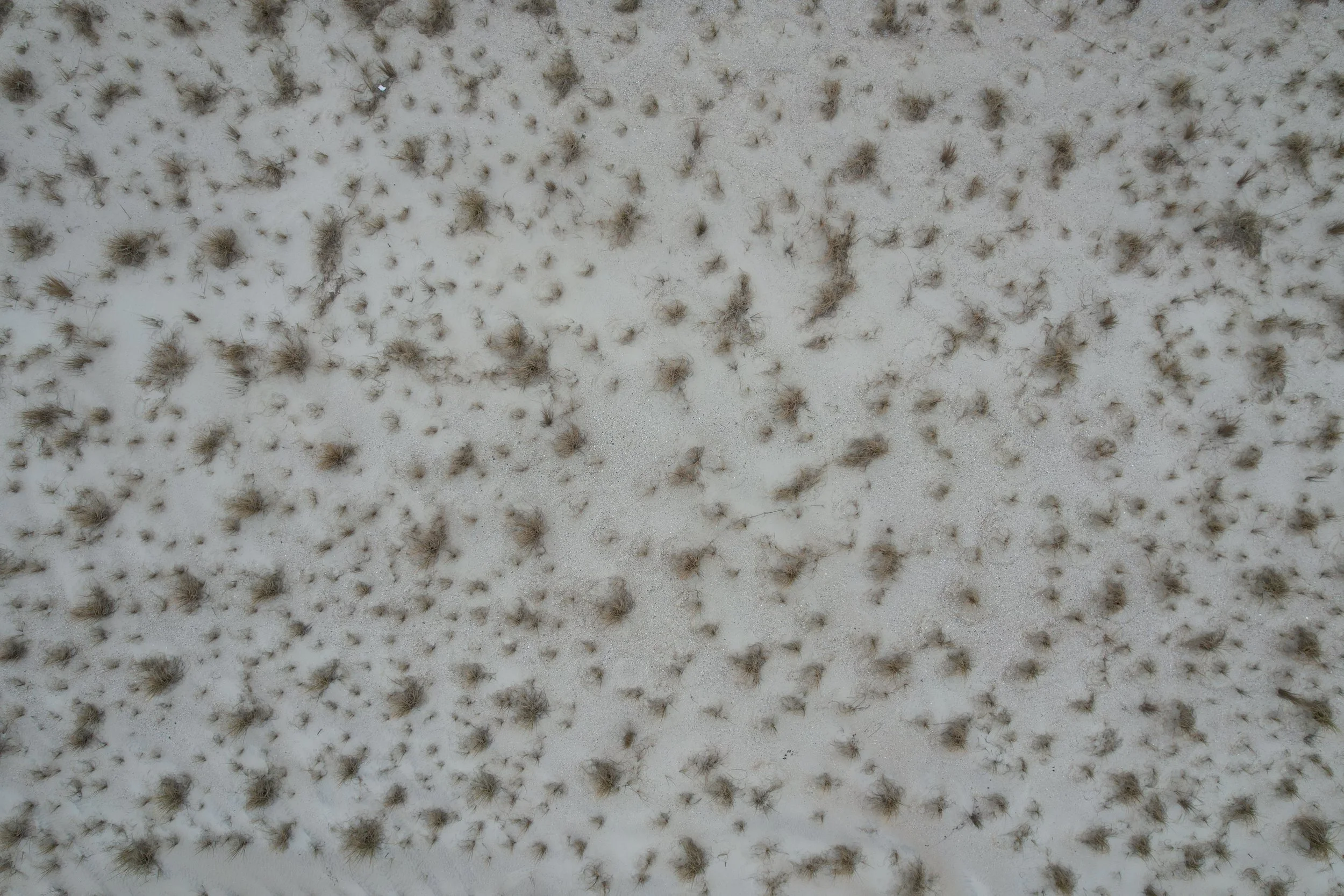 DJI_0276.JPG