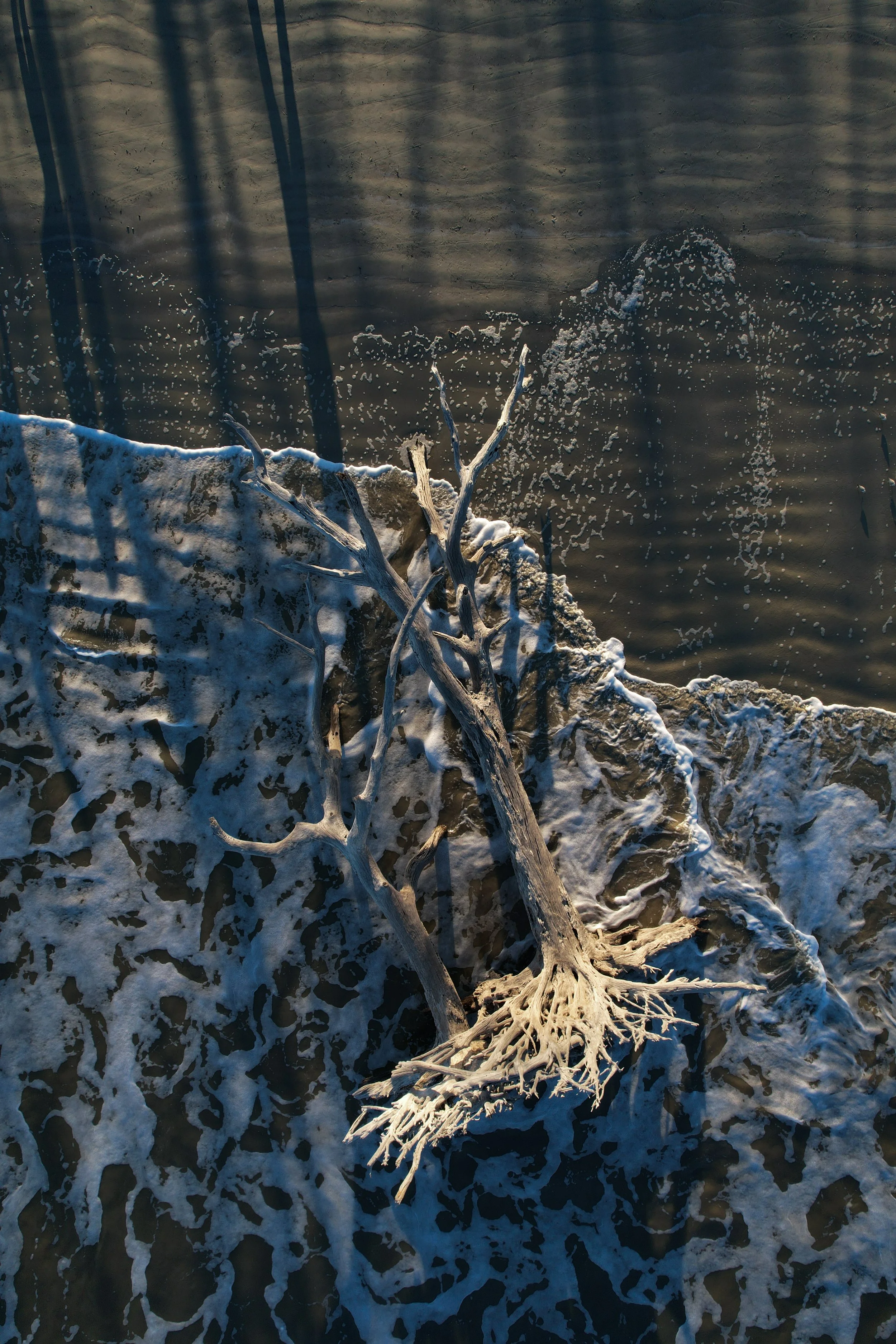 DJI_0366.jpeg