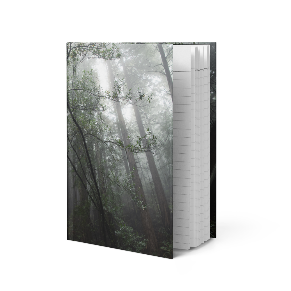 hardcover-journal-matte-white-8x5.75-front-686b1985cc3ec.png