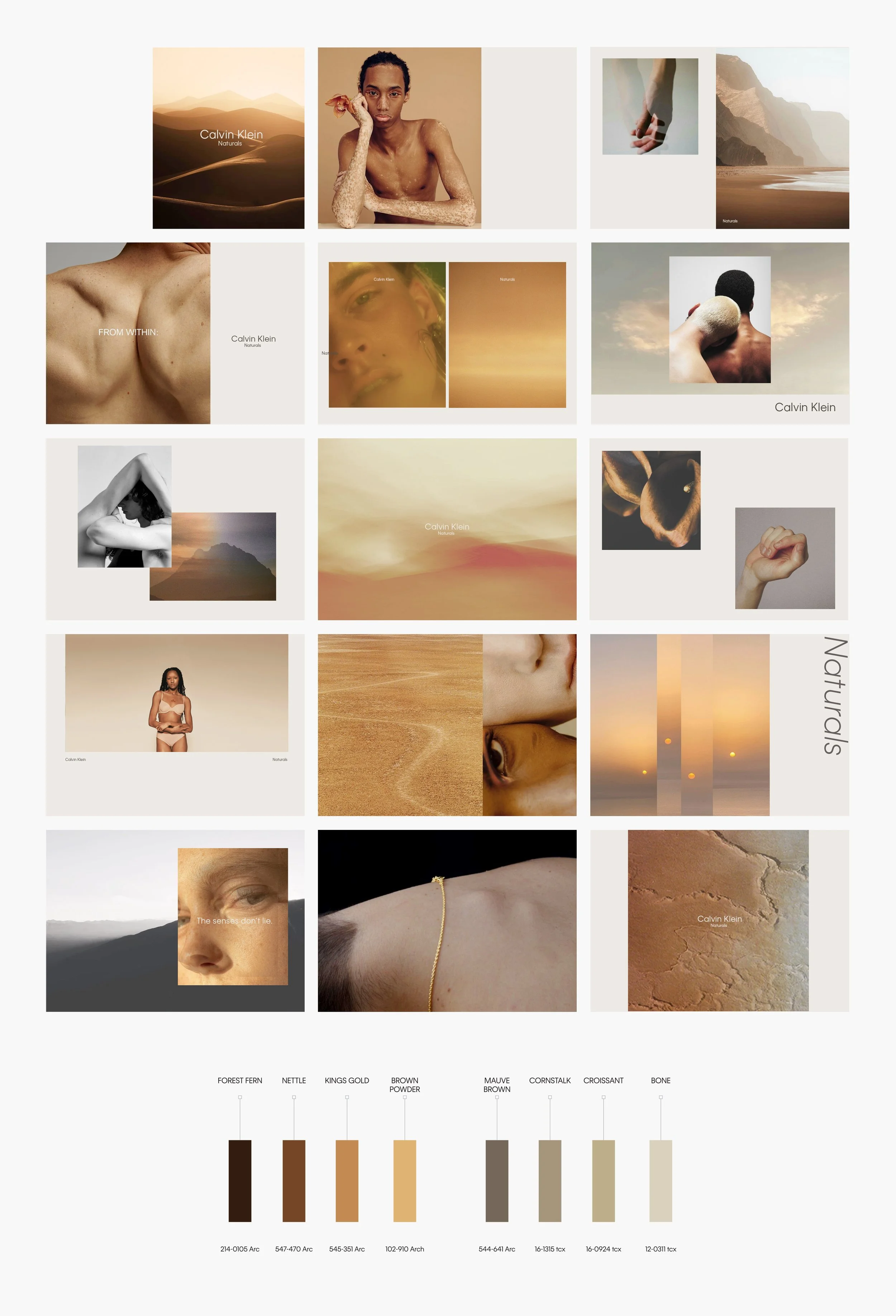 Naturals5a.jpg