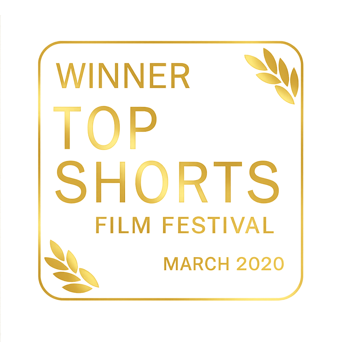 Top Shorts Gateway.png