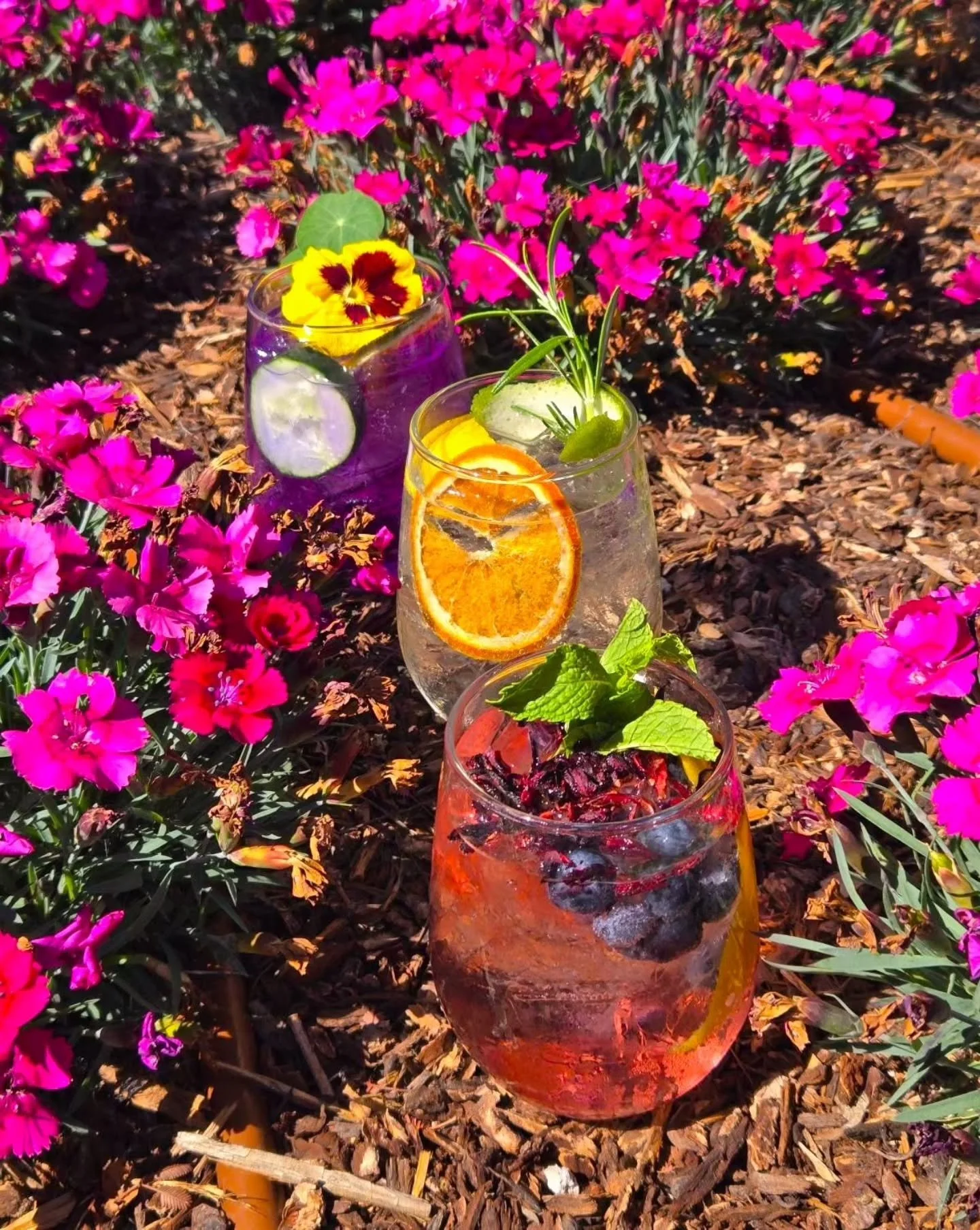 Let the good times be-Gin!

Meet our new Spanish Gin &amp; Tonic lineup that&rsquo;s designed to keep you cool, one refreshing sip at a time.

#FoundryAndLux #SpanishGinAndTonic #SummerSips #LetTheGoodTimesBeGin #TheCoveSSF
