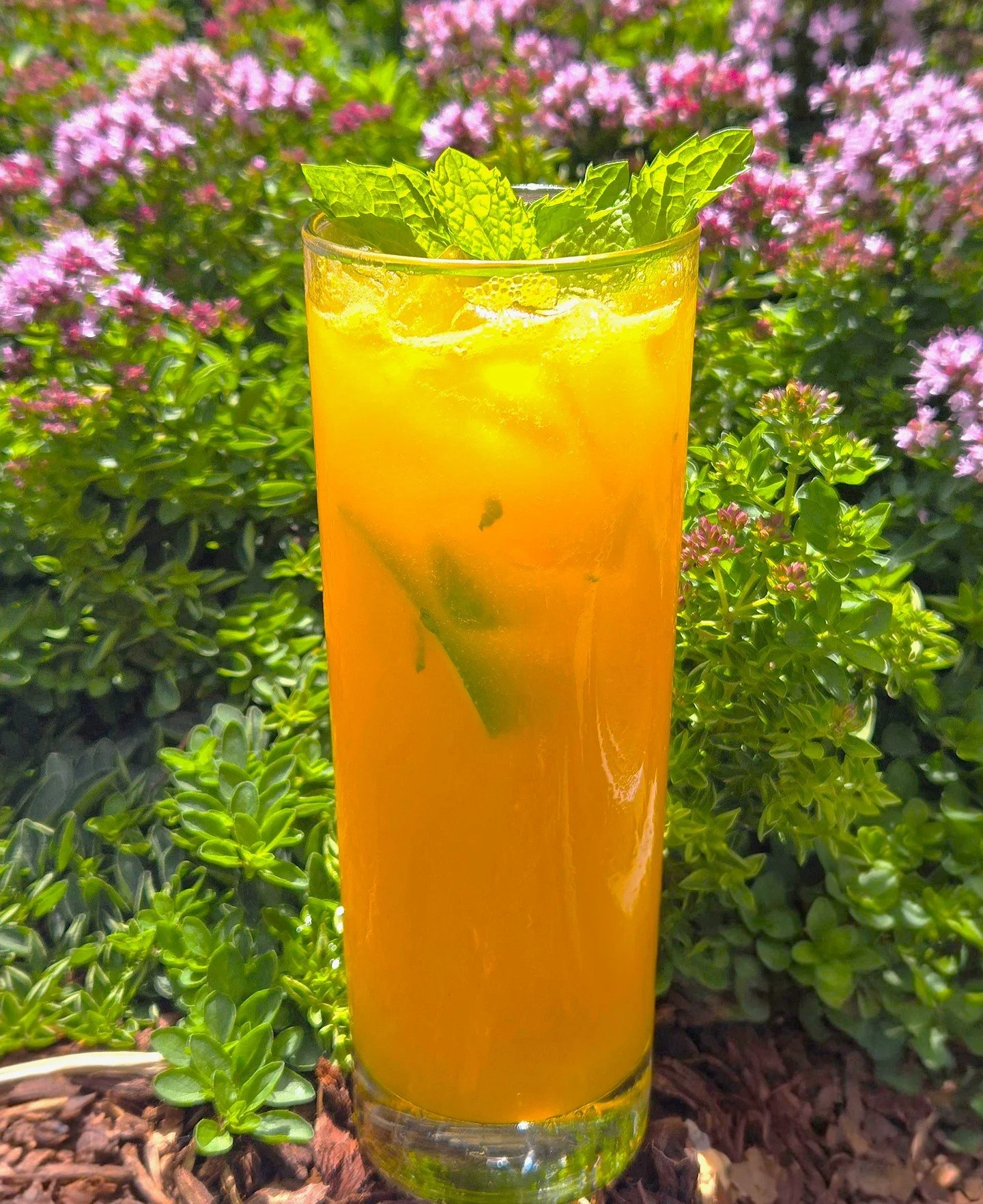 If summer had a signature sip, this would be it. One sip and you'll be saying, mango ahead and make it another!
Our Mango Mojito is bursting with juicy mango, fresh mint, and zesty lime for the ultimate way to beat the heat.
Summer isn't over yet, so