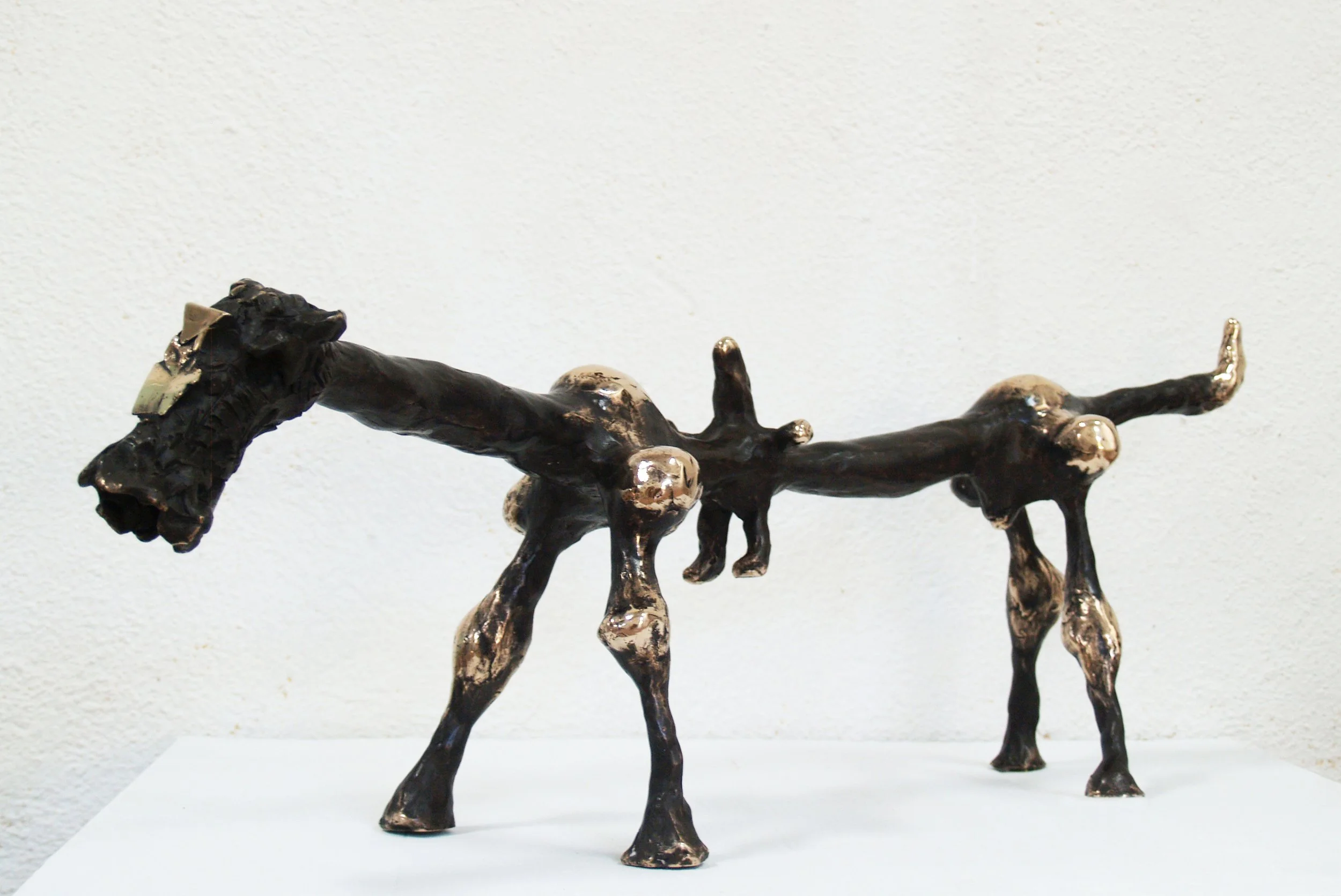 2013-Ginestero (27x75x18cm) 2013.JPG