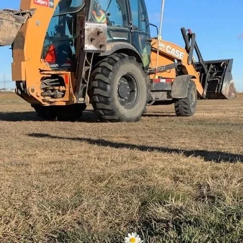 Currents of Life, Currents of Death: Reflecting with Heidi