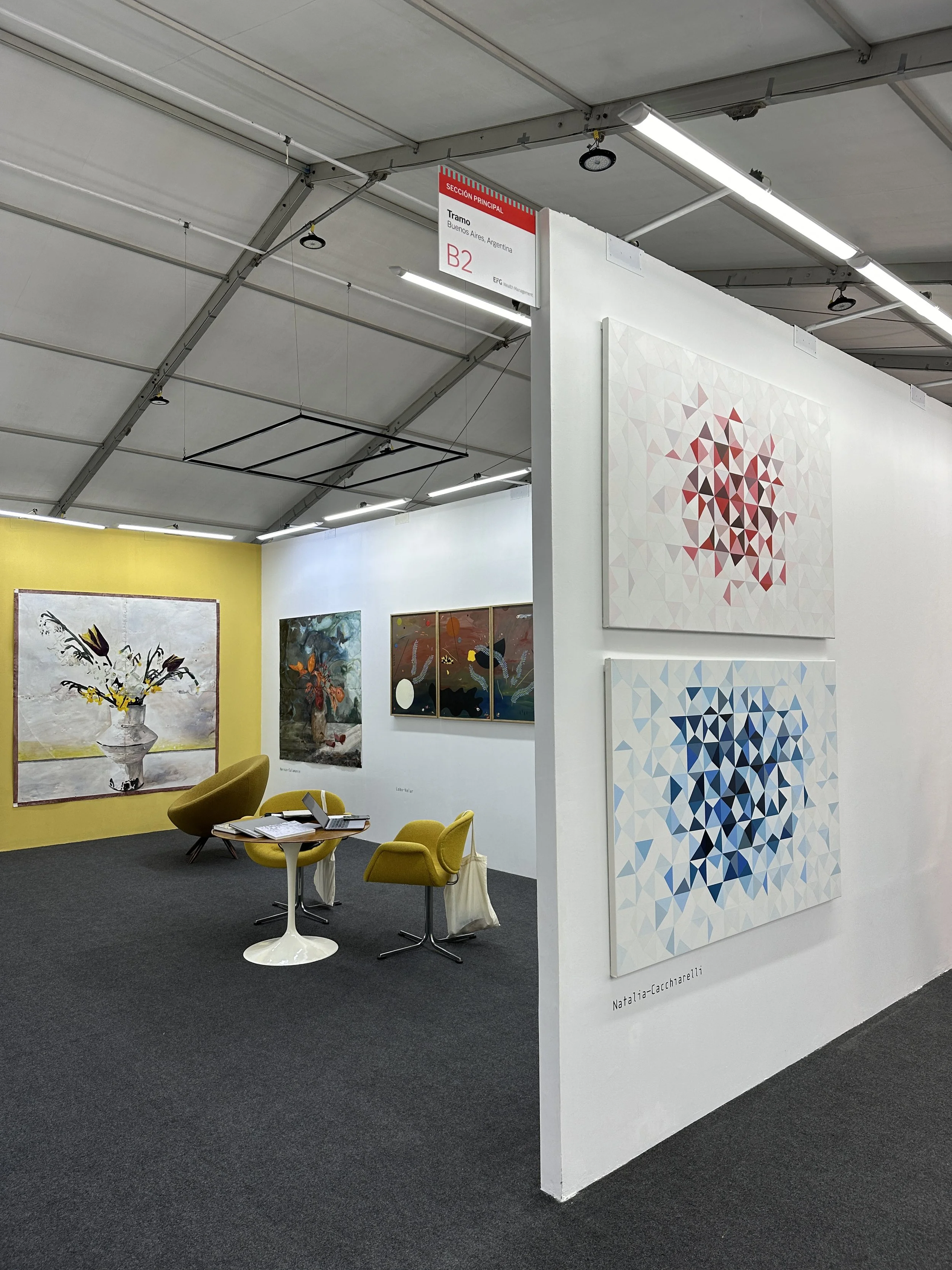 pinta PArC 2024 | Lima, Perú