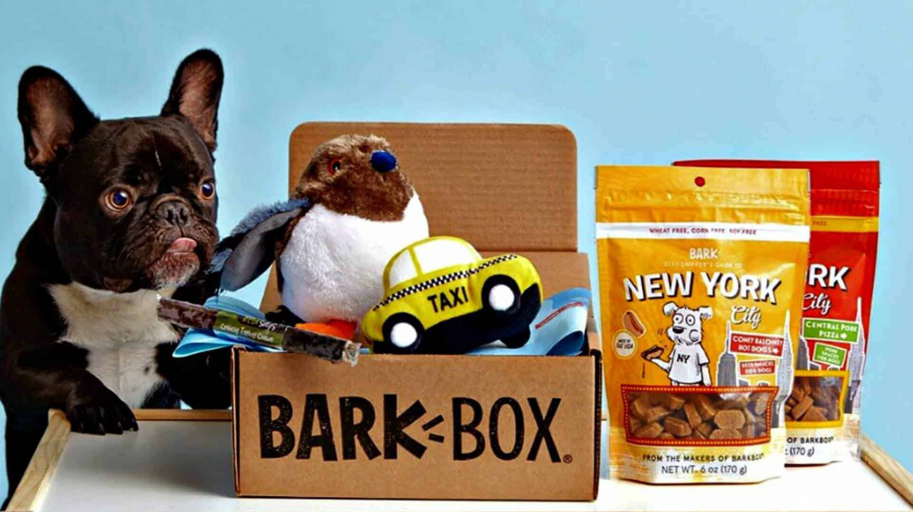 Are Barkbox Treats Good For Dogs