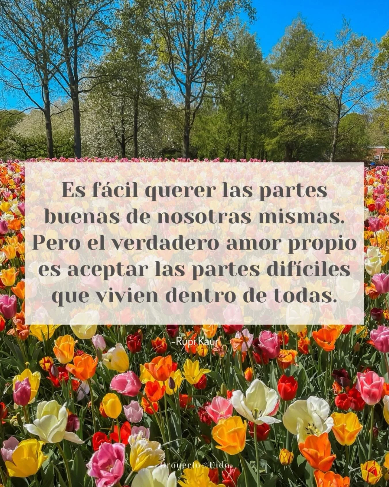 Desde muy peque&ntilde;a me encantan las flores. Tal vez sea por sus colores, formas o como bailan cuando el viento las acaricia. Es una de las maneras en que suelo conectar con la naturaleza. Hace algunos a&ntilde;os tuve la oportunidad de visitar u