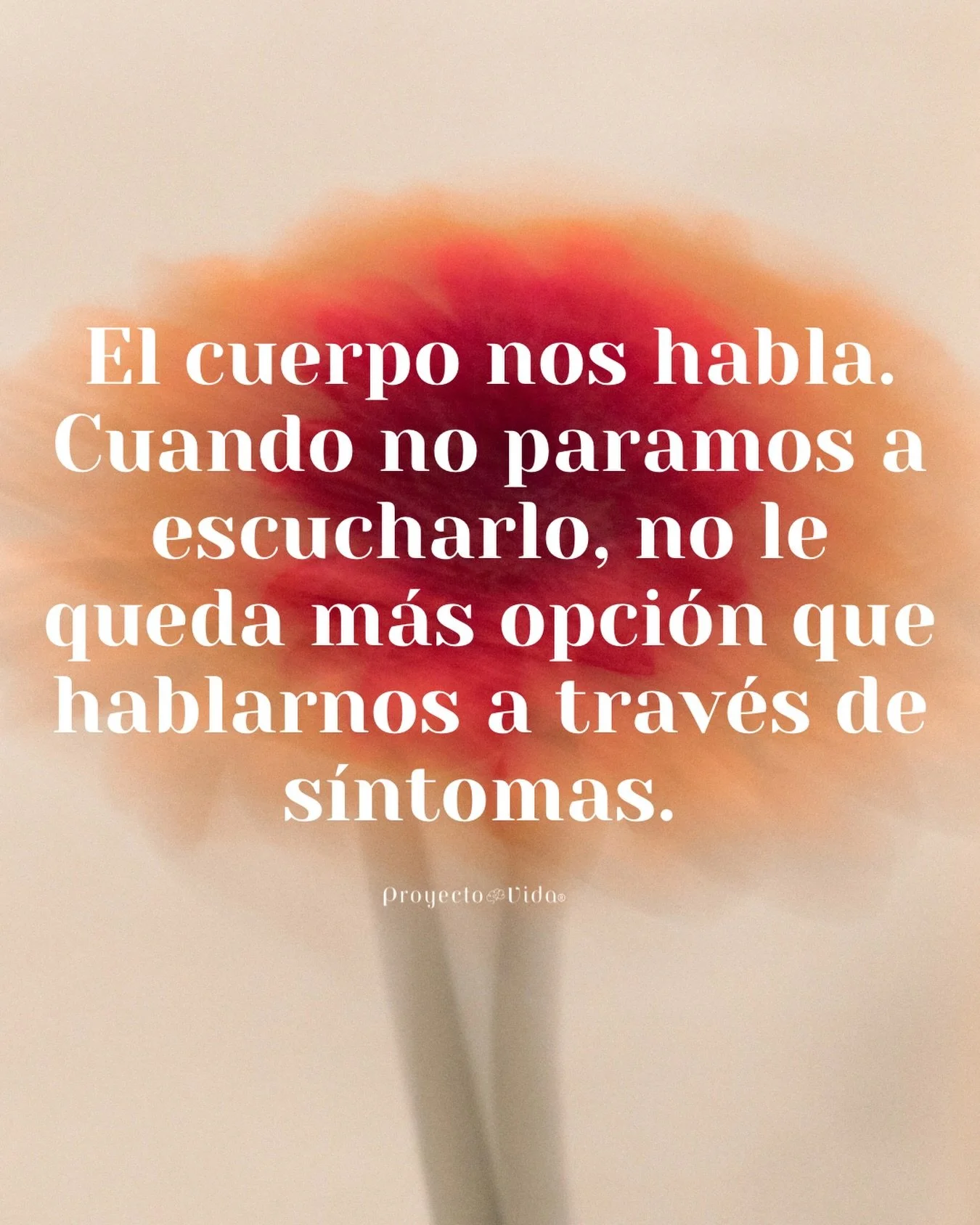 Lo veo en las personas que acompa&ntilde;o en terapia y las investigaciones as&iacute; lo confirman. 

Algunos de los s&iacute;ntomas que podemos experimentar son: dolores de cabeza constantes, tensi&oacute;n muscular, problemas gastrointestinales, t